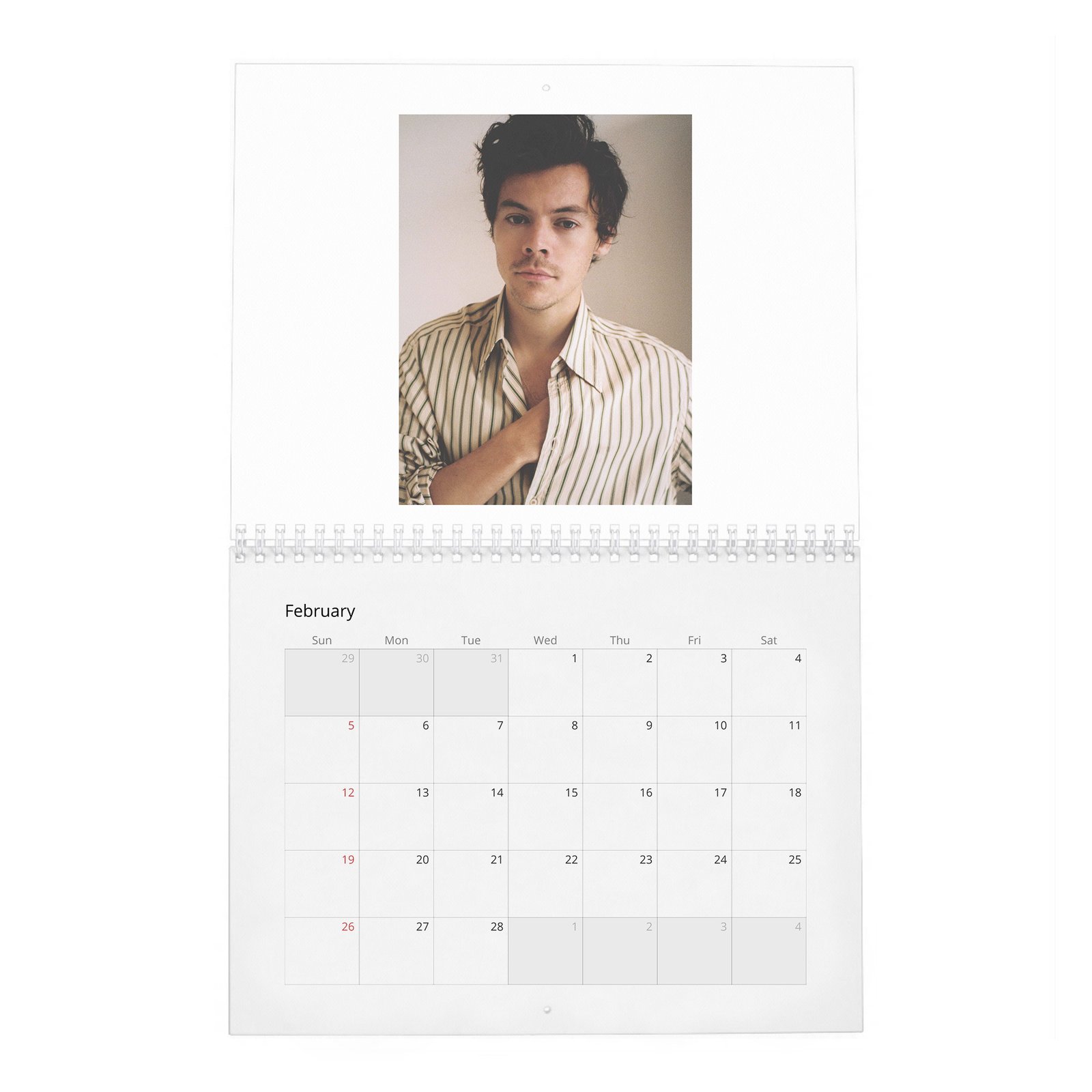 02 Harry Styles - House of Styles 2027 Wall Calendar