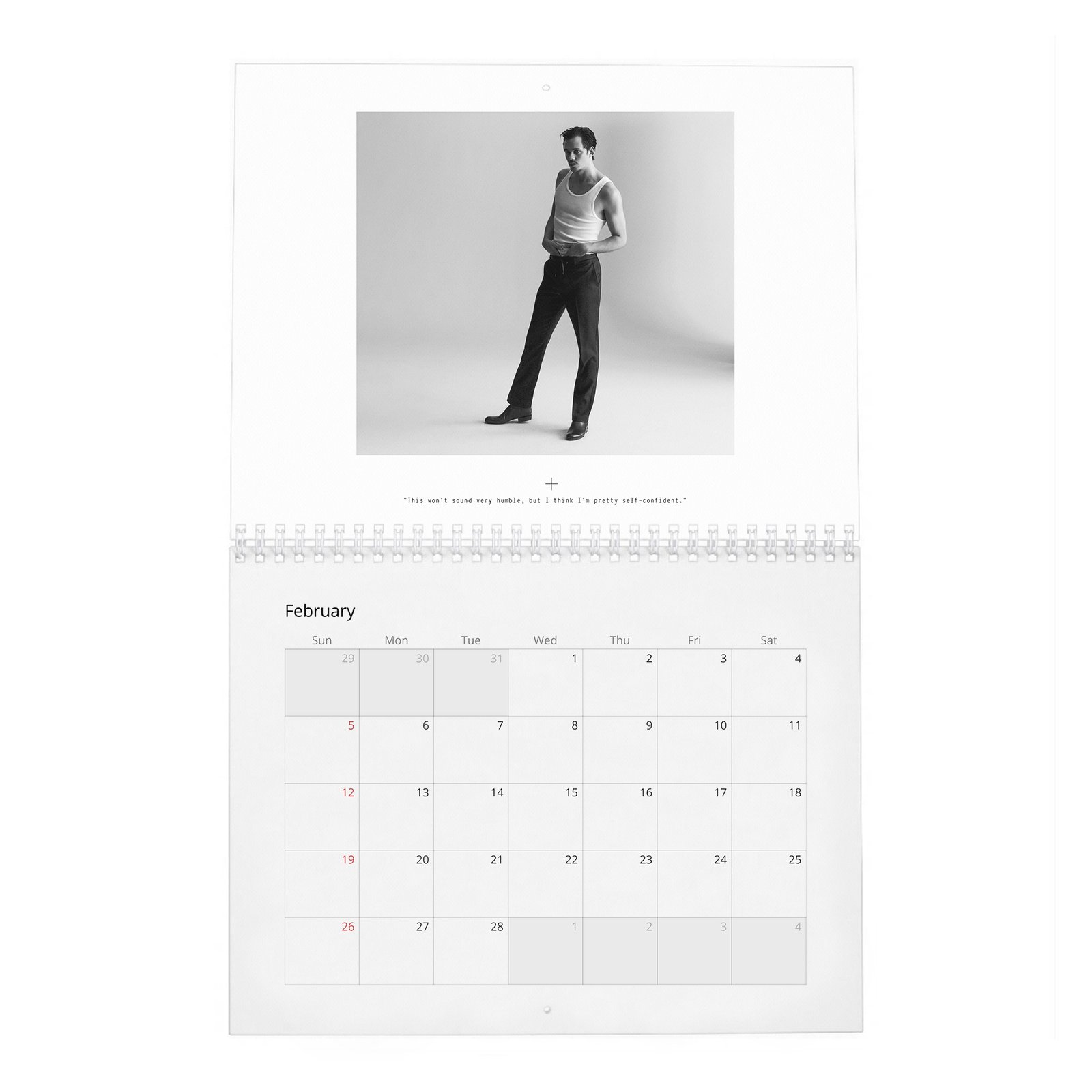Bill Skarsgard - Hollywood’s Current “It” Boy 2027 Wall Calendar
