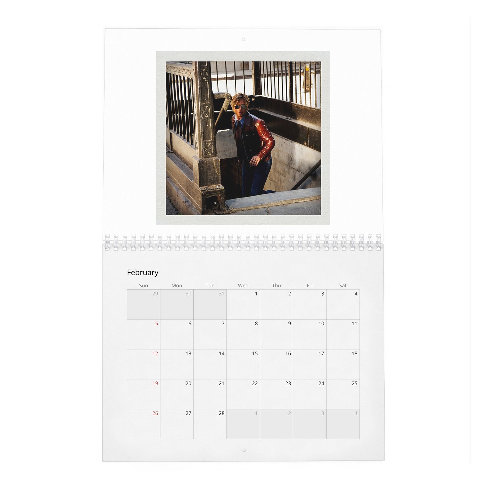 Brad Pitt - Born To Be Brad 2027 Wall Calendar