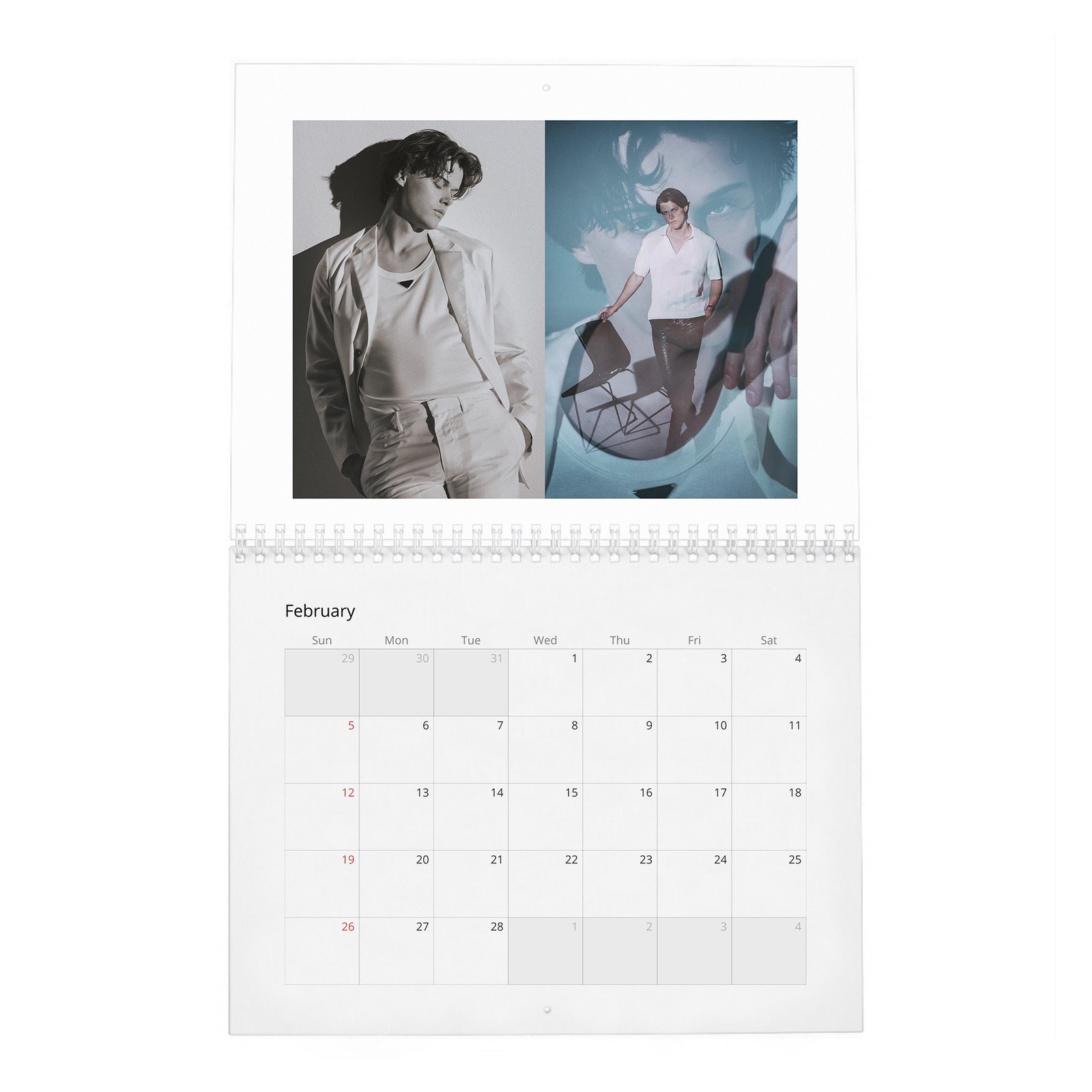 Christopher Briney - New Star 2027 Wall Calendar