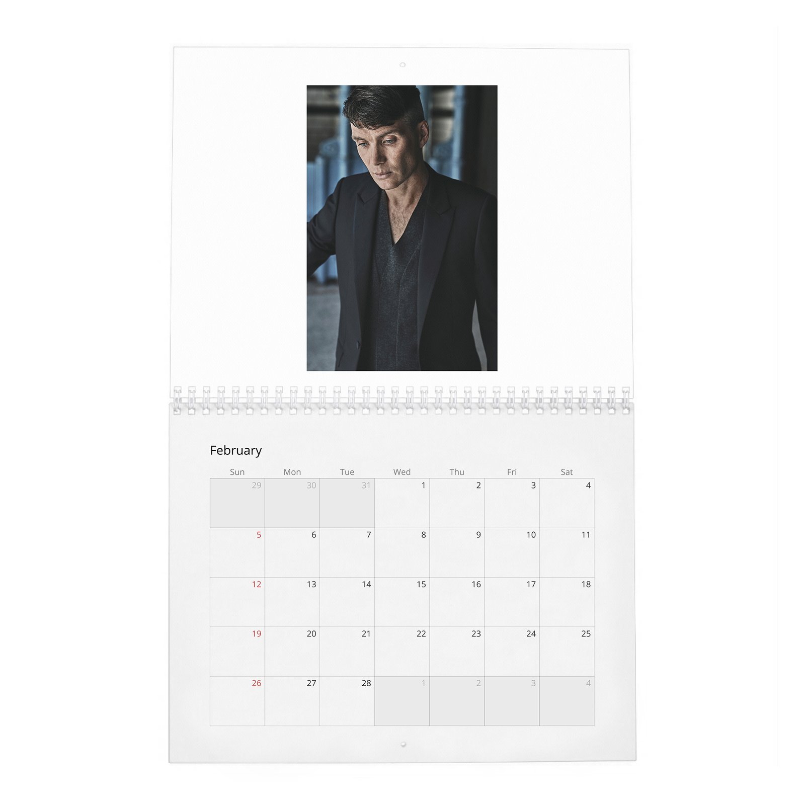 02 Cillian Murphy - Actor Of The Year 2027 Wall Calendar