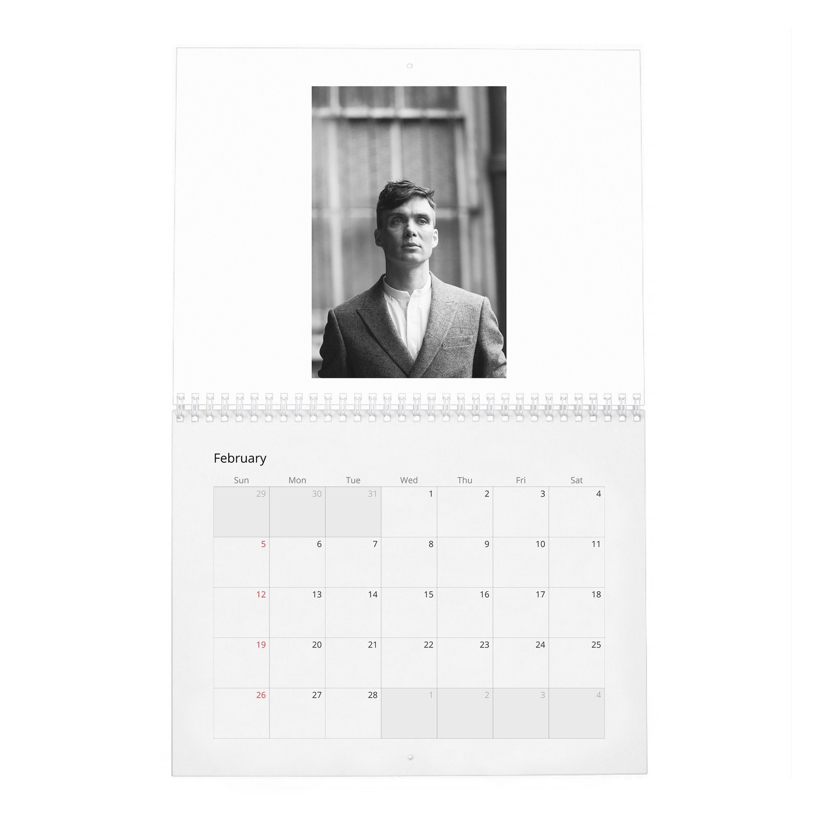 02 Cillian Murphy - So It Goes 2027 Wall Calendar