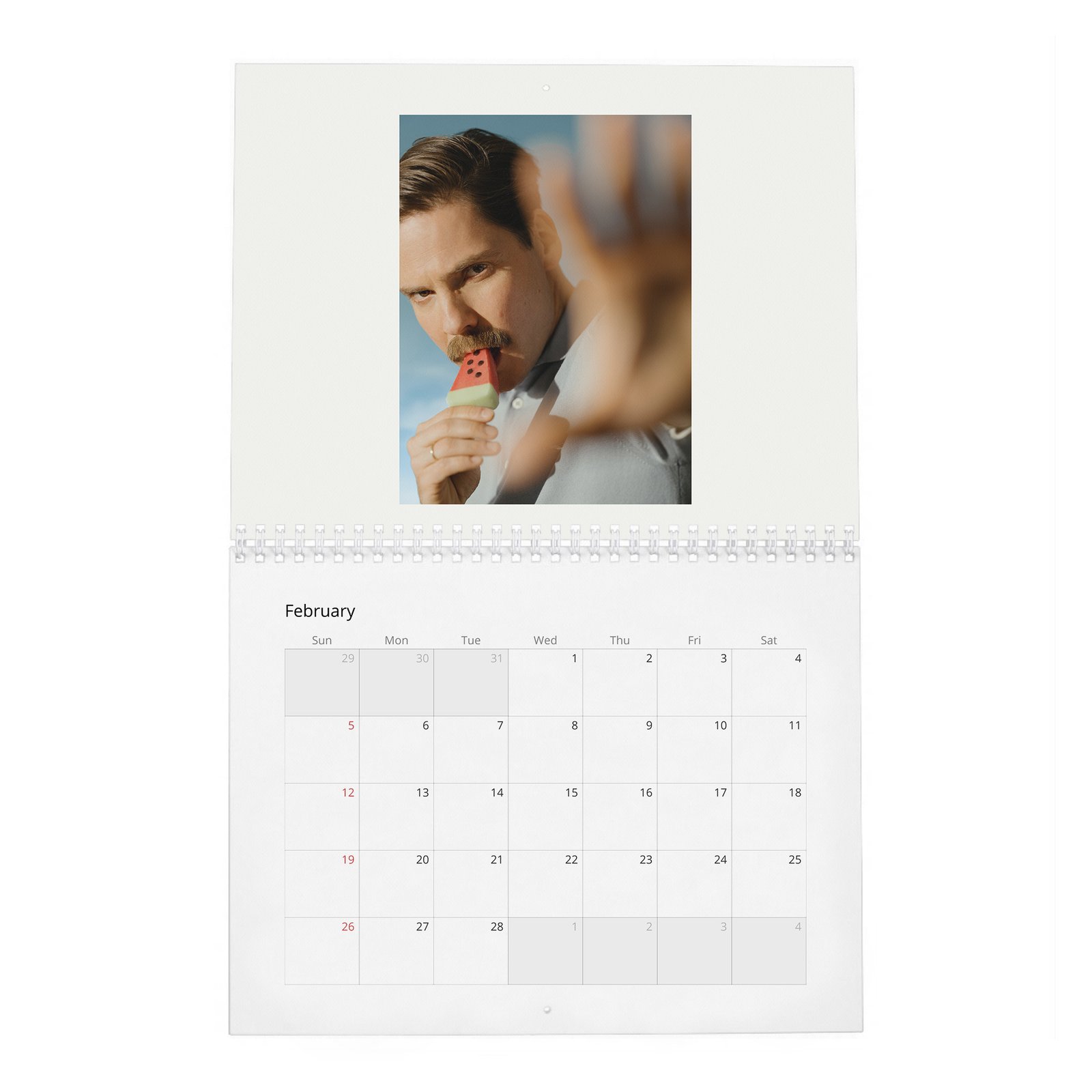 02 Daniel Bruhl - World Star Like Us 2027 Wall Calendar