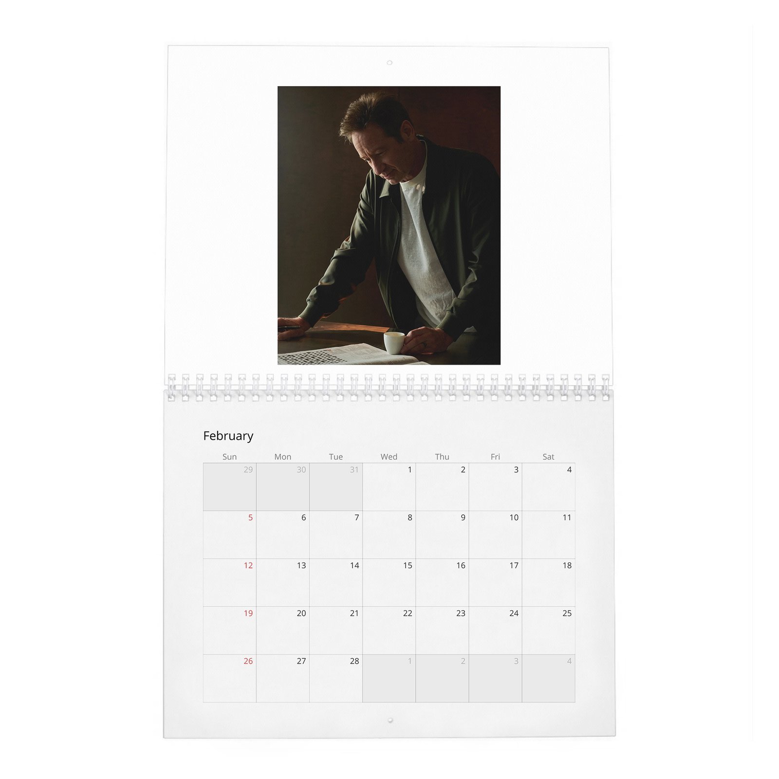 David Duchovny - Weekend In The Life 2027 Wall Calendar
