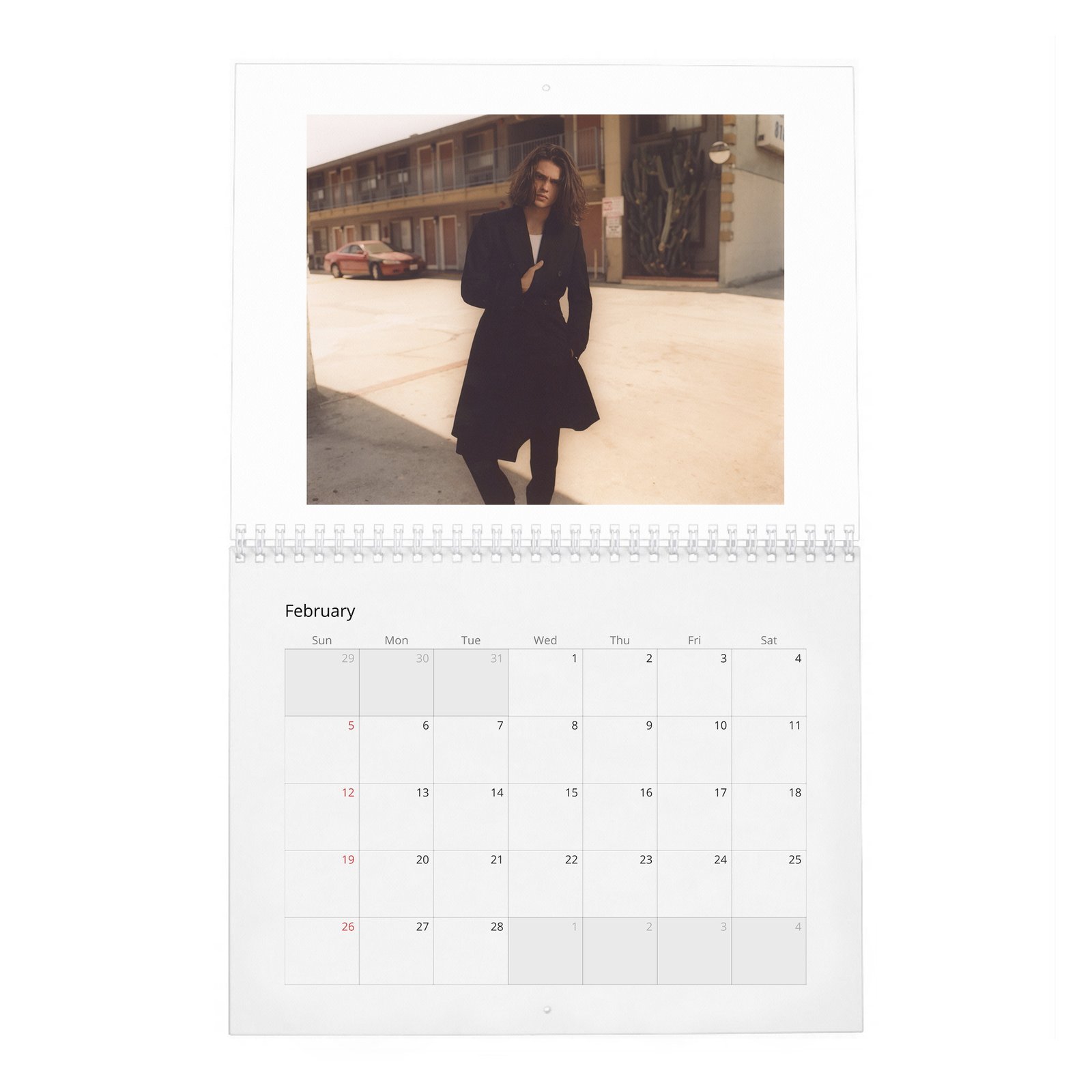 Felix Mallard - Flaunt 2027 Wall Calendar