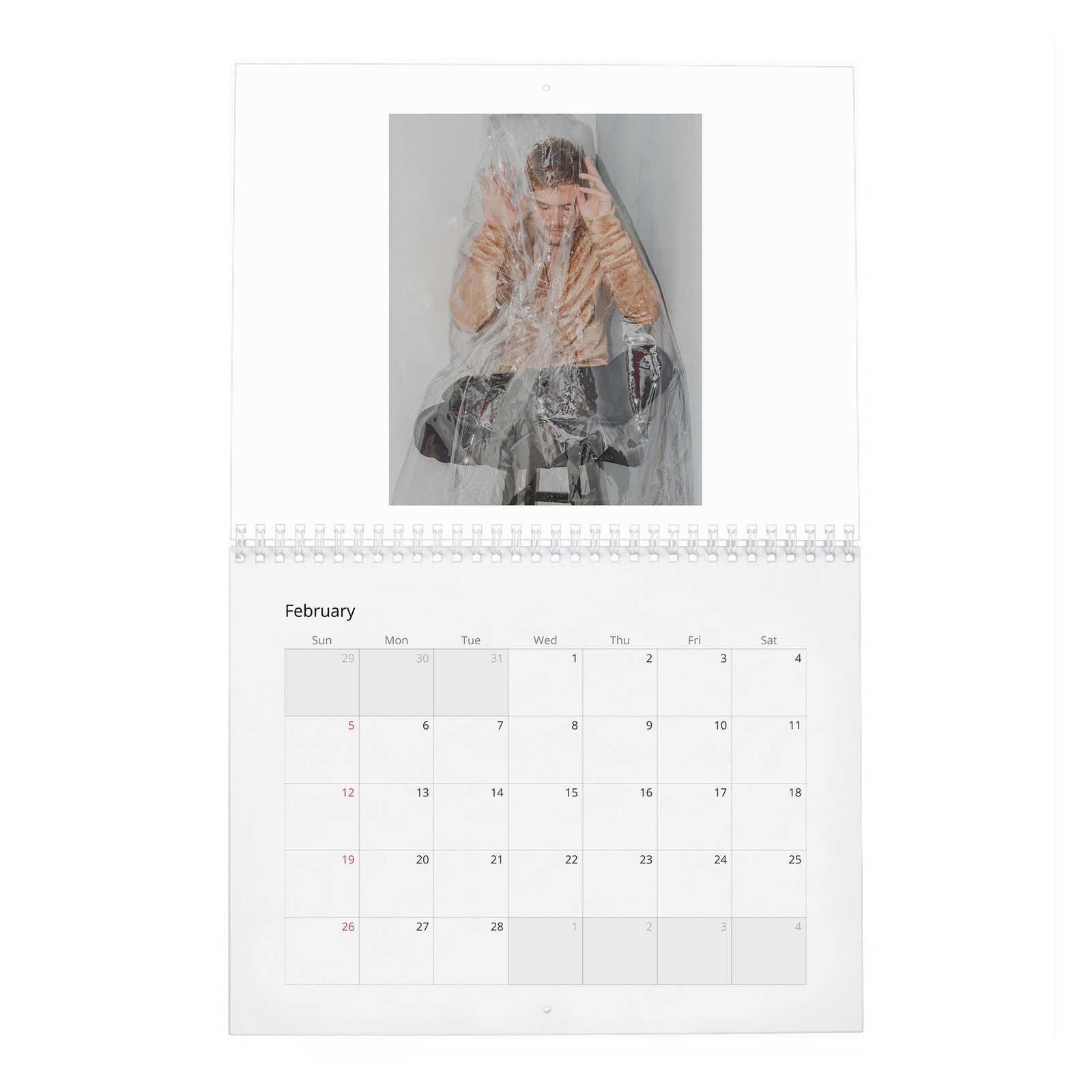 02 Finn Jones - Laterals 2027 Wall Calendar