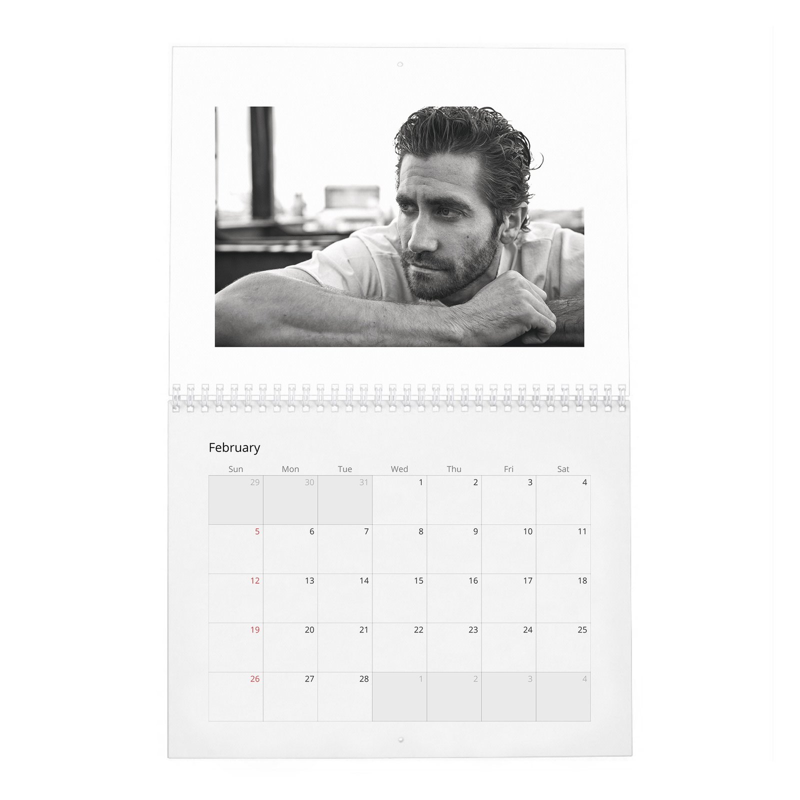 02 Jake Gyllenhaal - The A-List's Hippest Player 2027 Wall Calendar