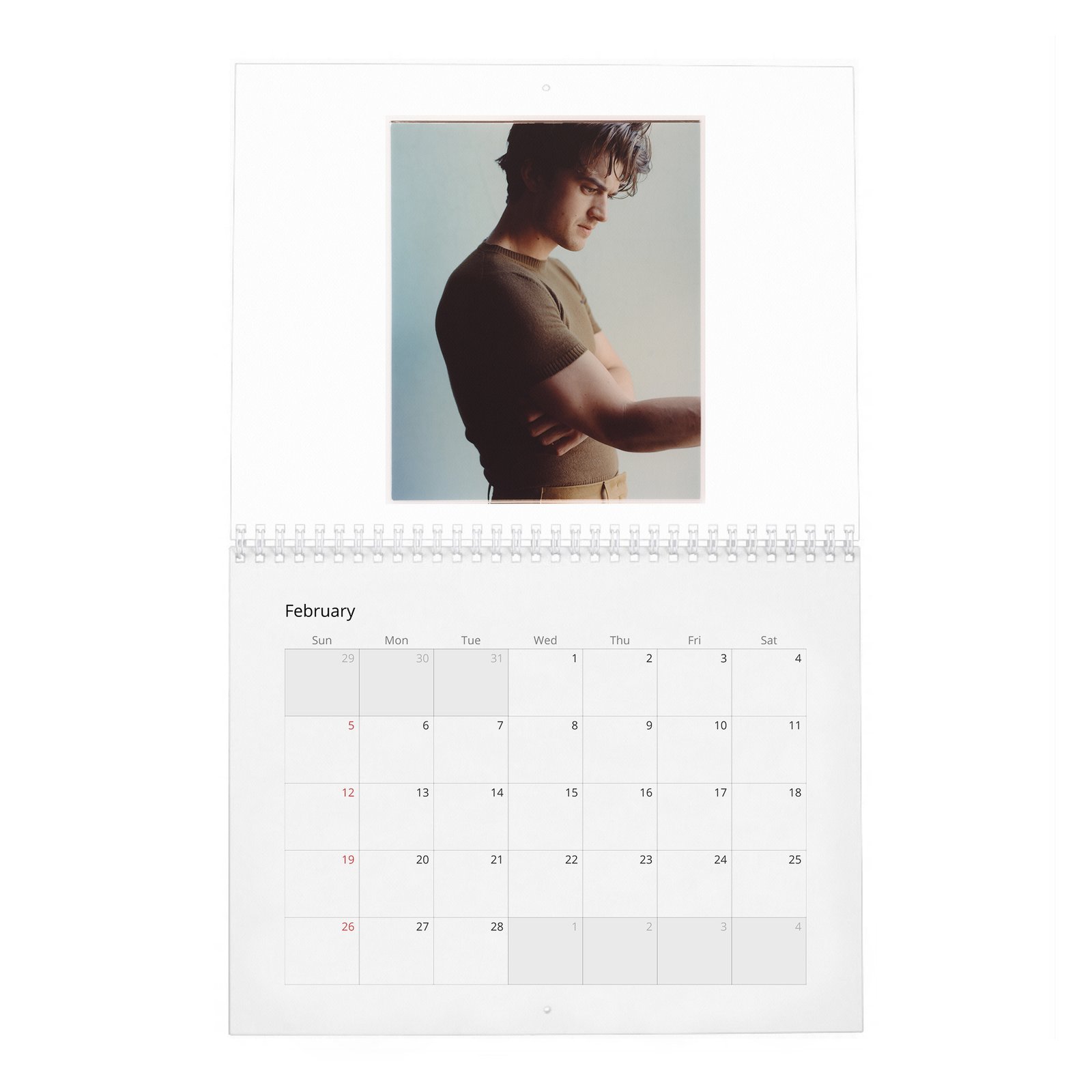 Joe Keery - Levels Up 2027 Wall Calendar