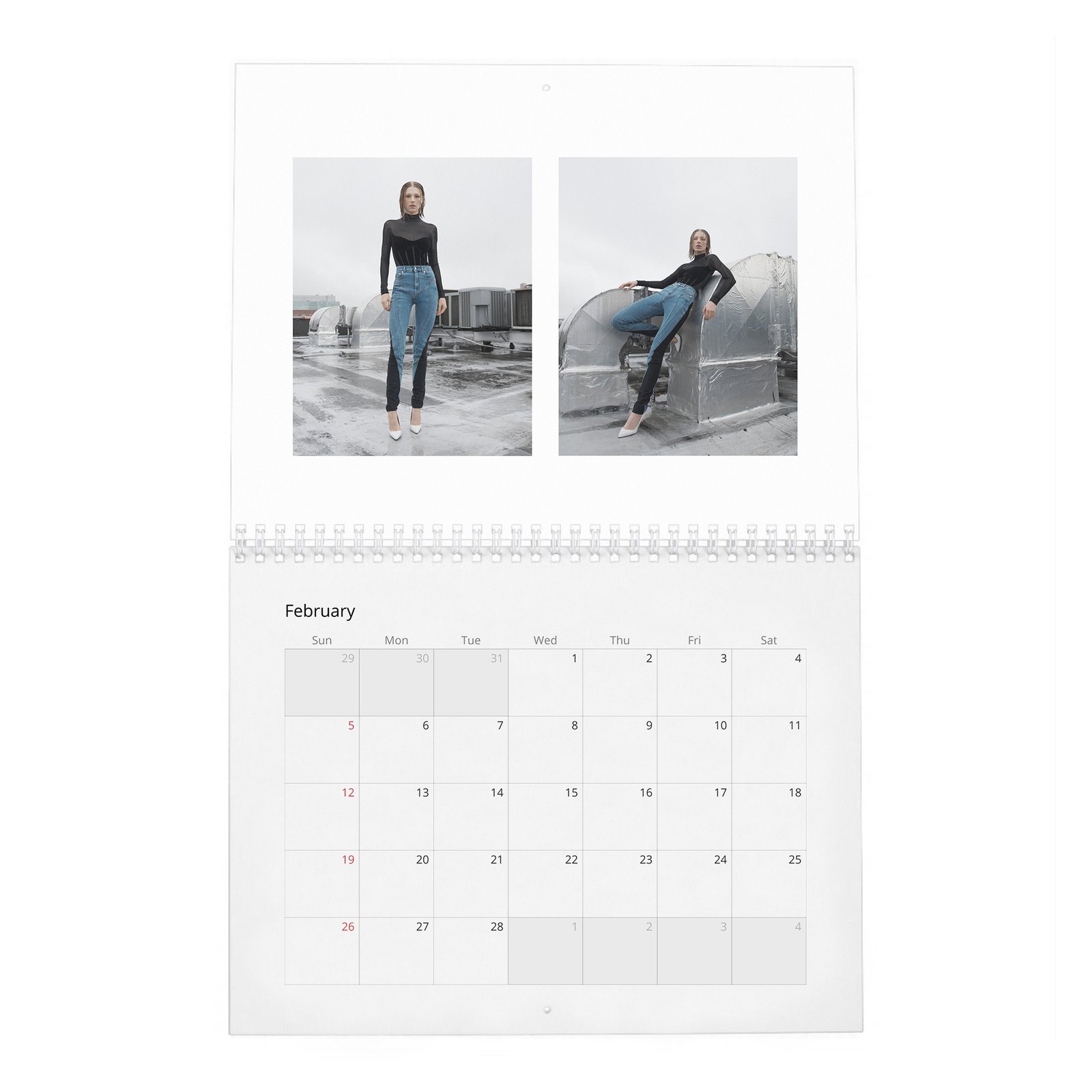 02 (2) Hunter Schafer - Leaning In 2027 Wall Calendar