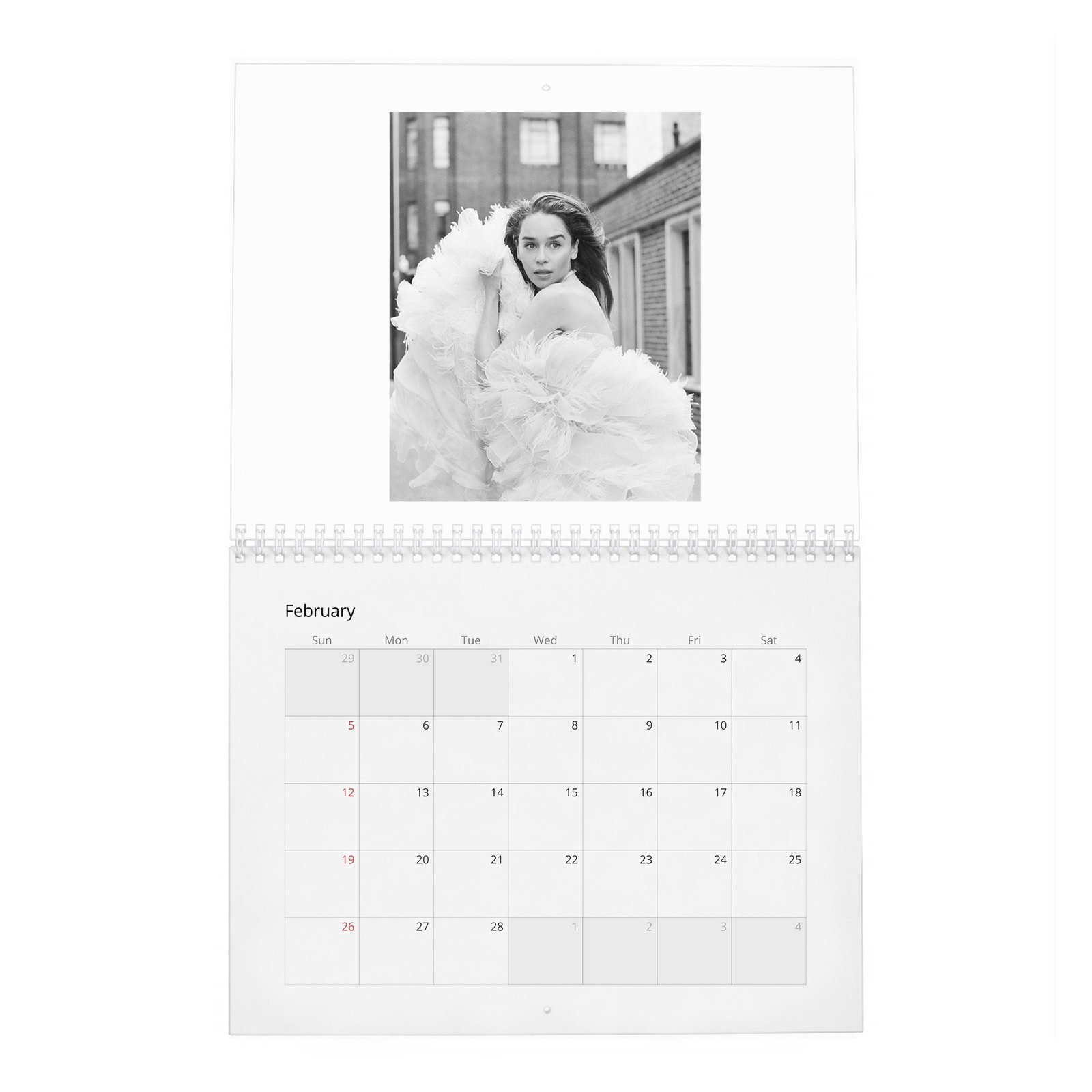 02 (2) Emilia Clarke - Power and Passion 2027 Wall Calendar