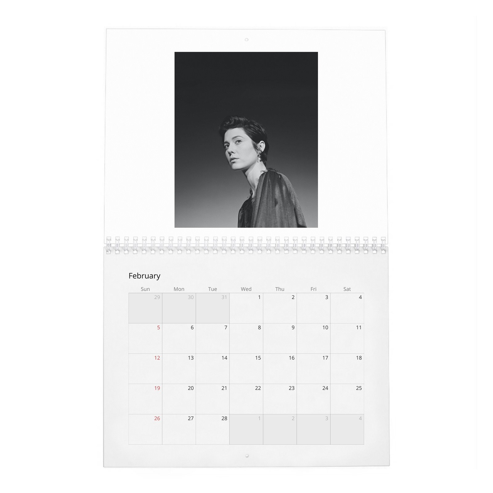02 Mary Elizabeth Winstead - She Loves Playing The Badass 2027 Wall Calendar