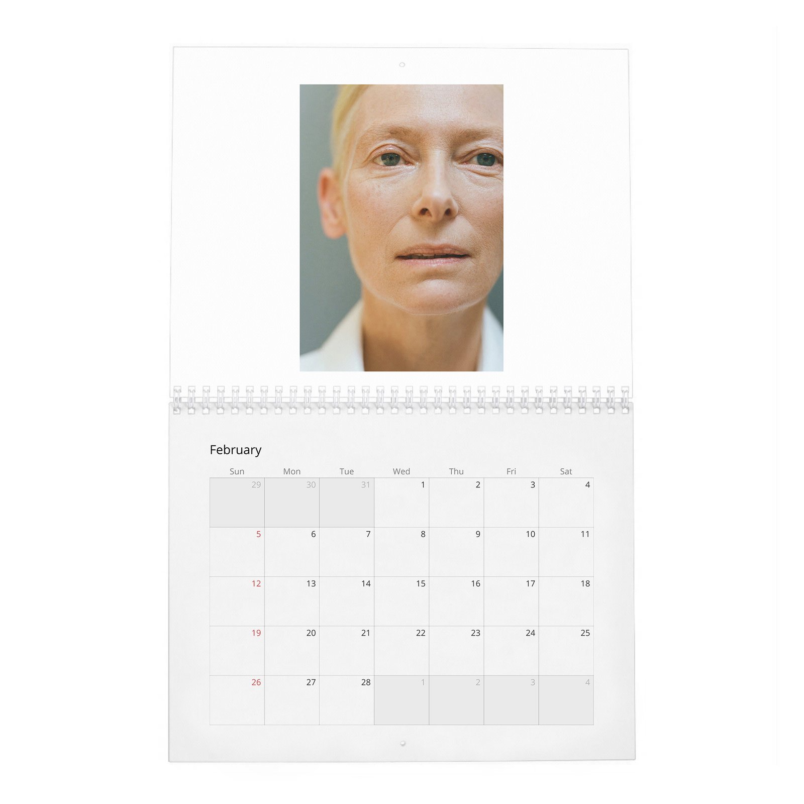 02 Tilda Swinton - Cine-Nerd 2027 Wall Calendar