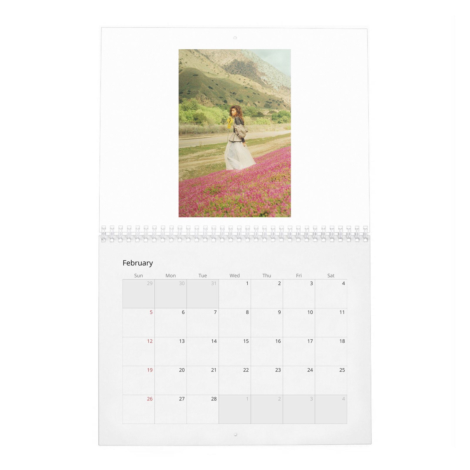 Zendaya - Wonderland 2027 Wall Calendar