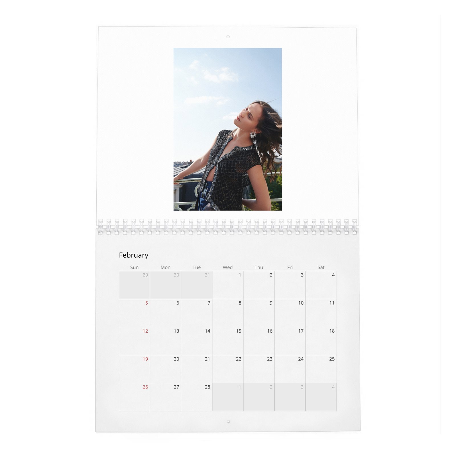 Alicia Vikander - Swedish North Star 2027 Wall Calendar