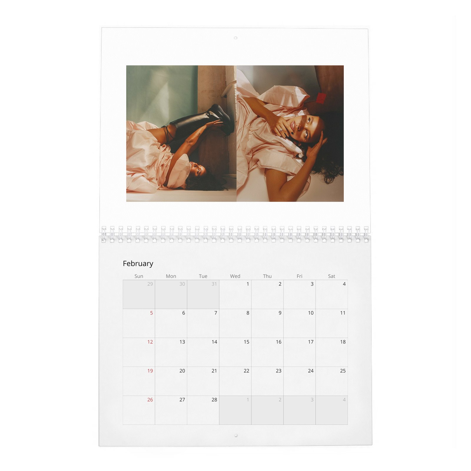 02 Alisha Boe - Wonderland 2027 Wall Calendar