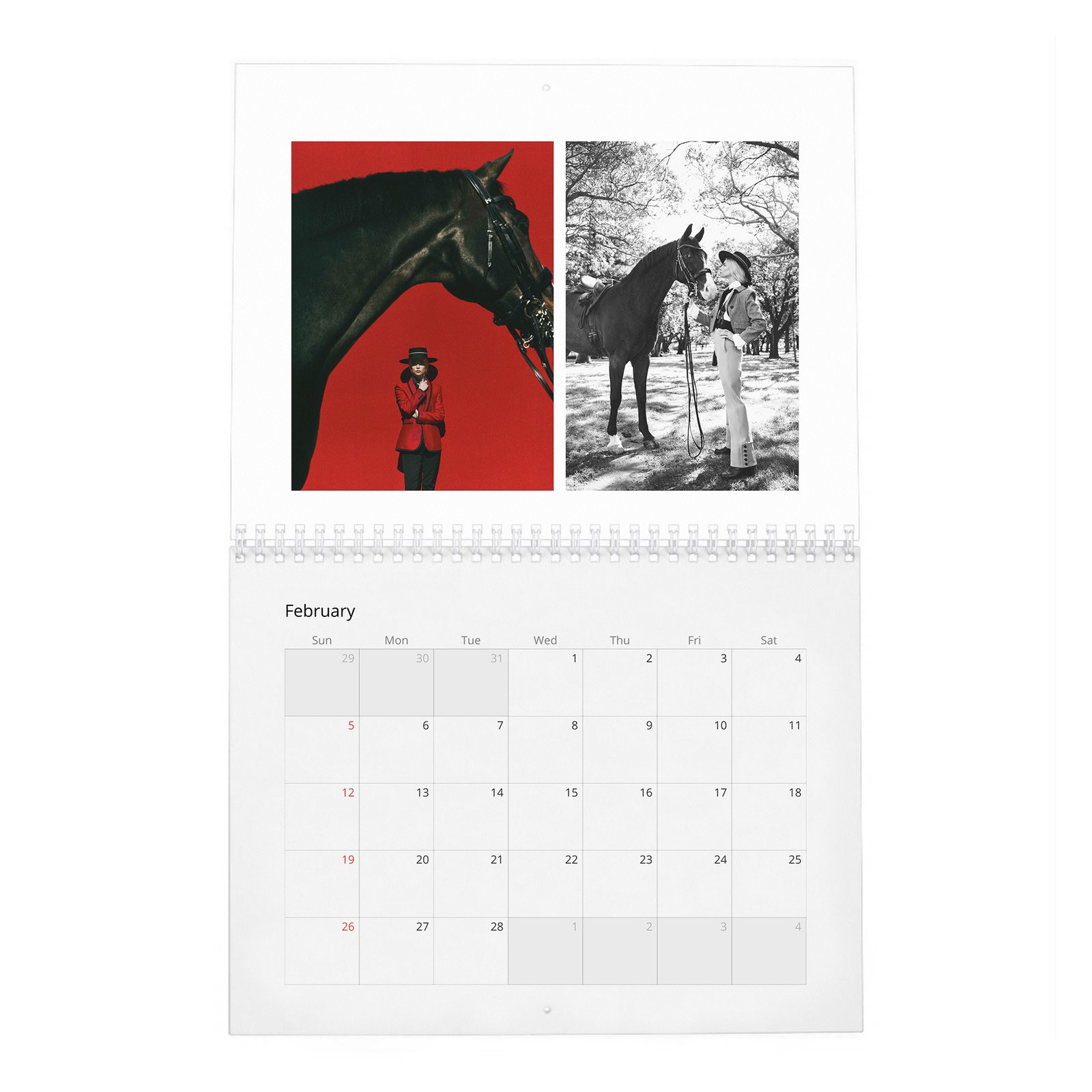 02 Anya Taylor-Joy - Anya's Reign 2027 Wall Calendar