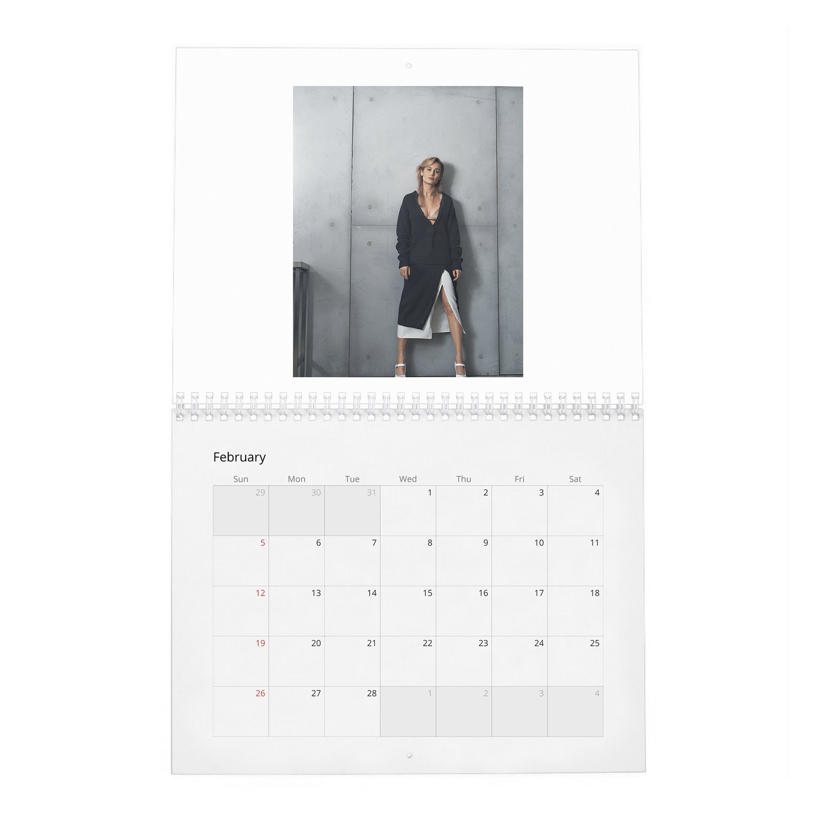 Brie Larson - Goes Her Own Way 2027 Wall Calendar