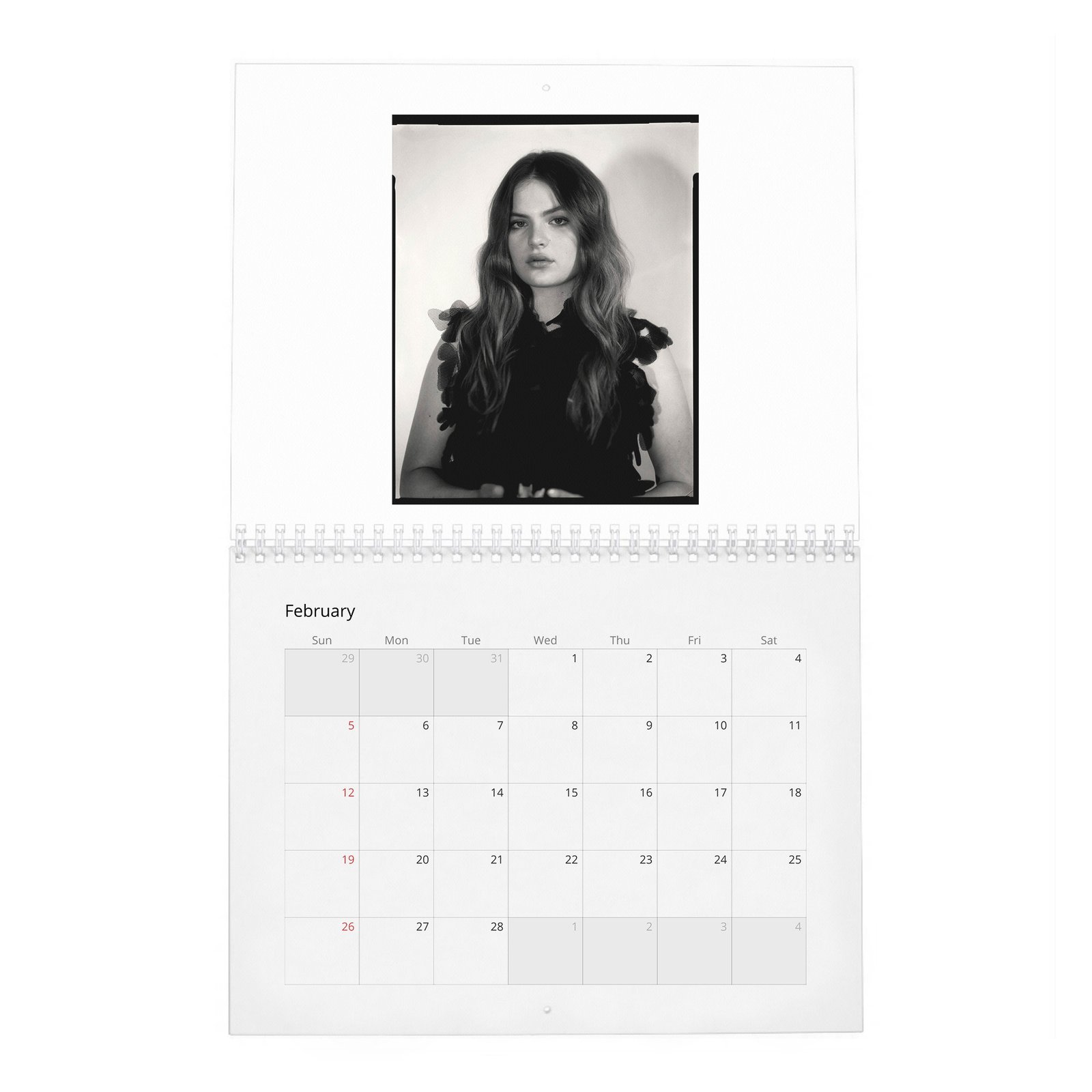 02 Chiara Aurelia - Aptitude And Ease 2027 Wall Calendar