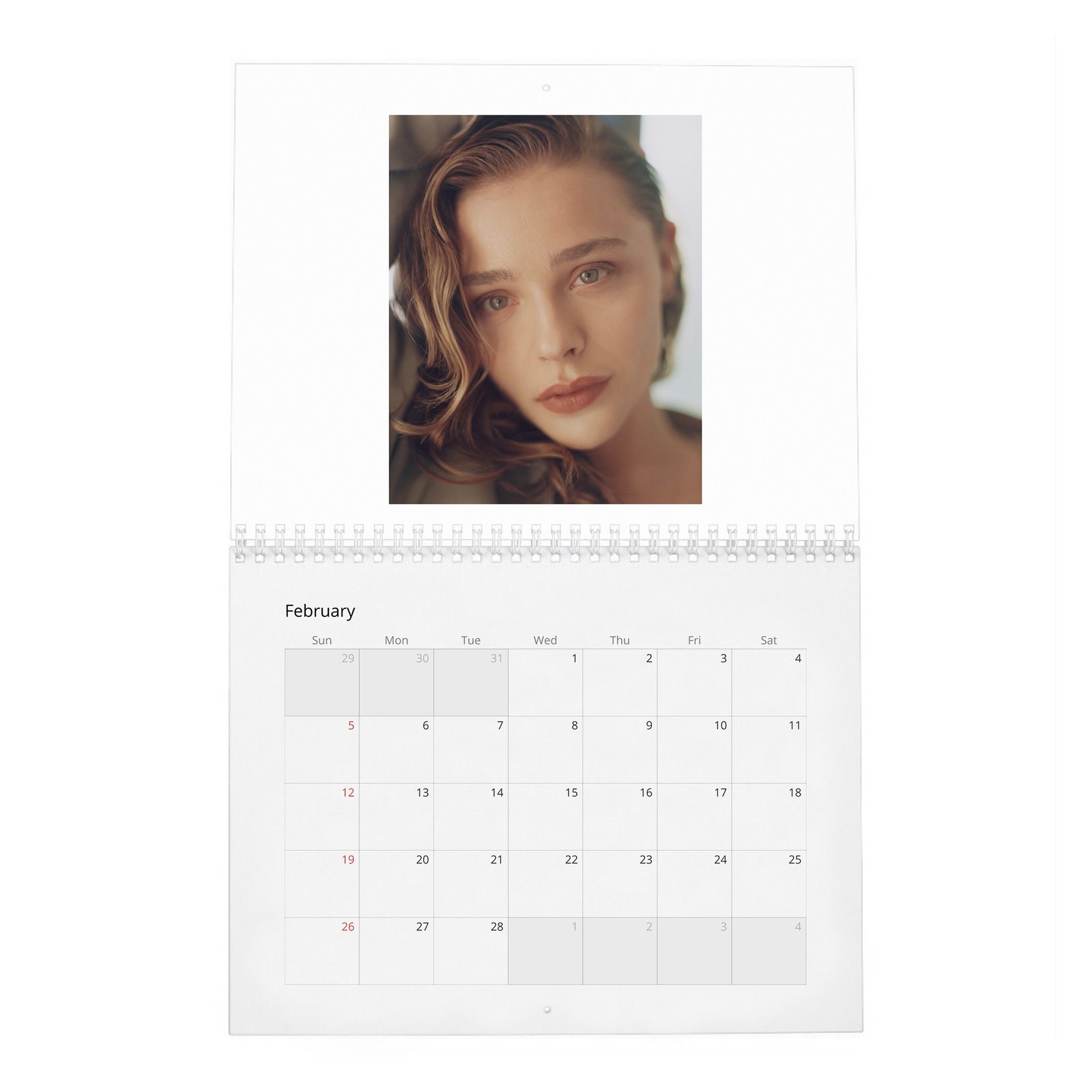02 Chloe Grace Moretz - Wonderland 2027 Wall Calendar