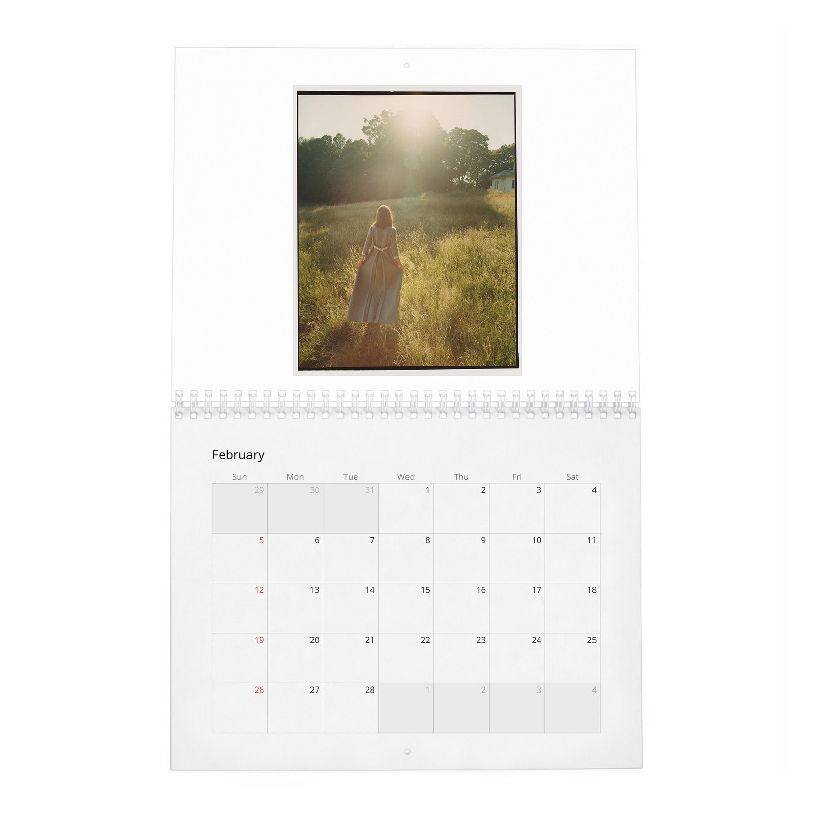 02 Daisy Edgar-Jones - Starring Breaktrough Talent 2027 Wall Calendar