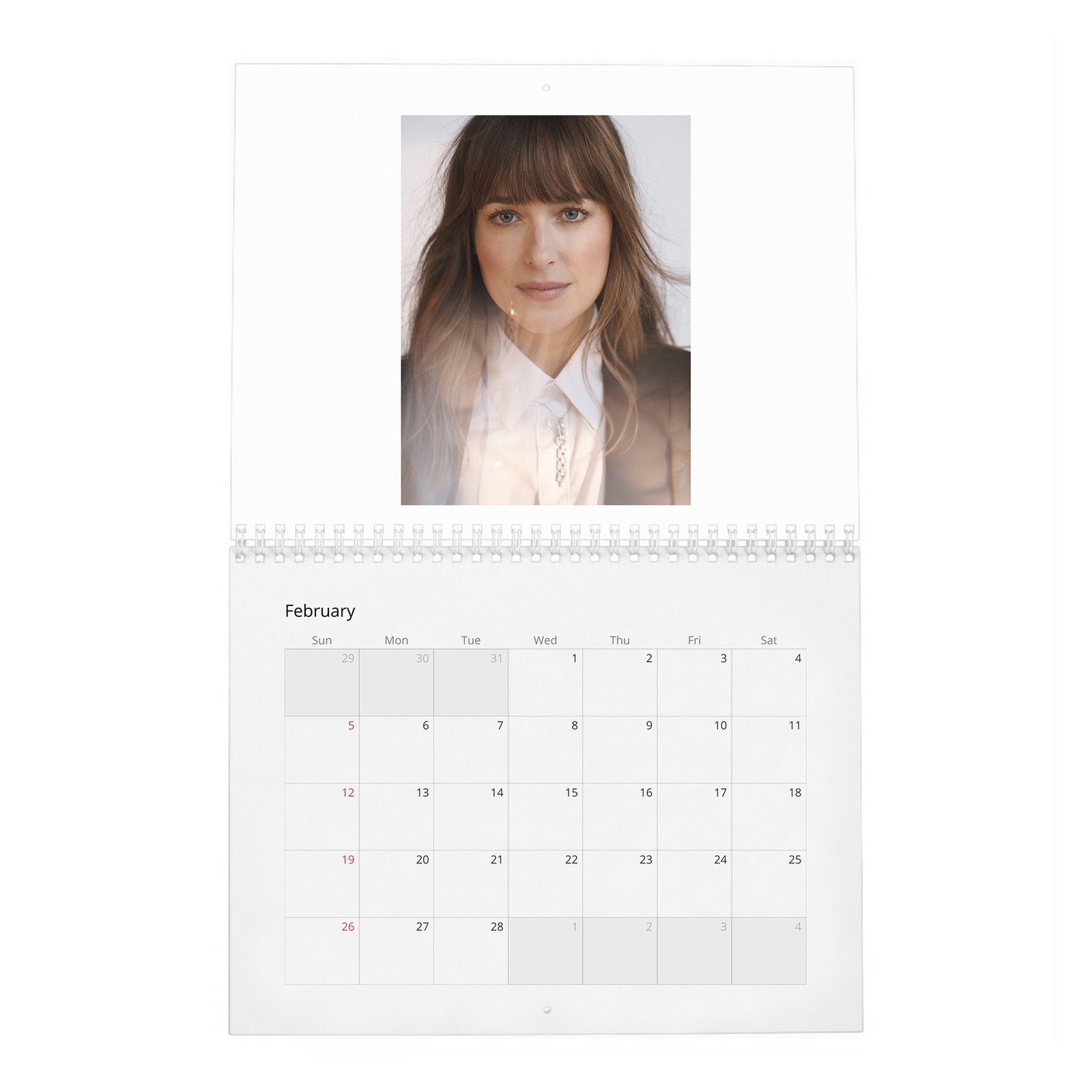 Dakota Johnson - Finding Her Light 2027 Wall Calendar