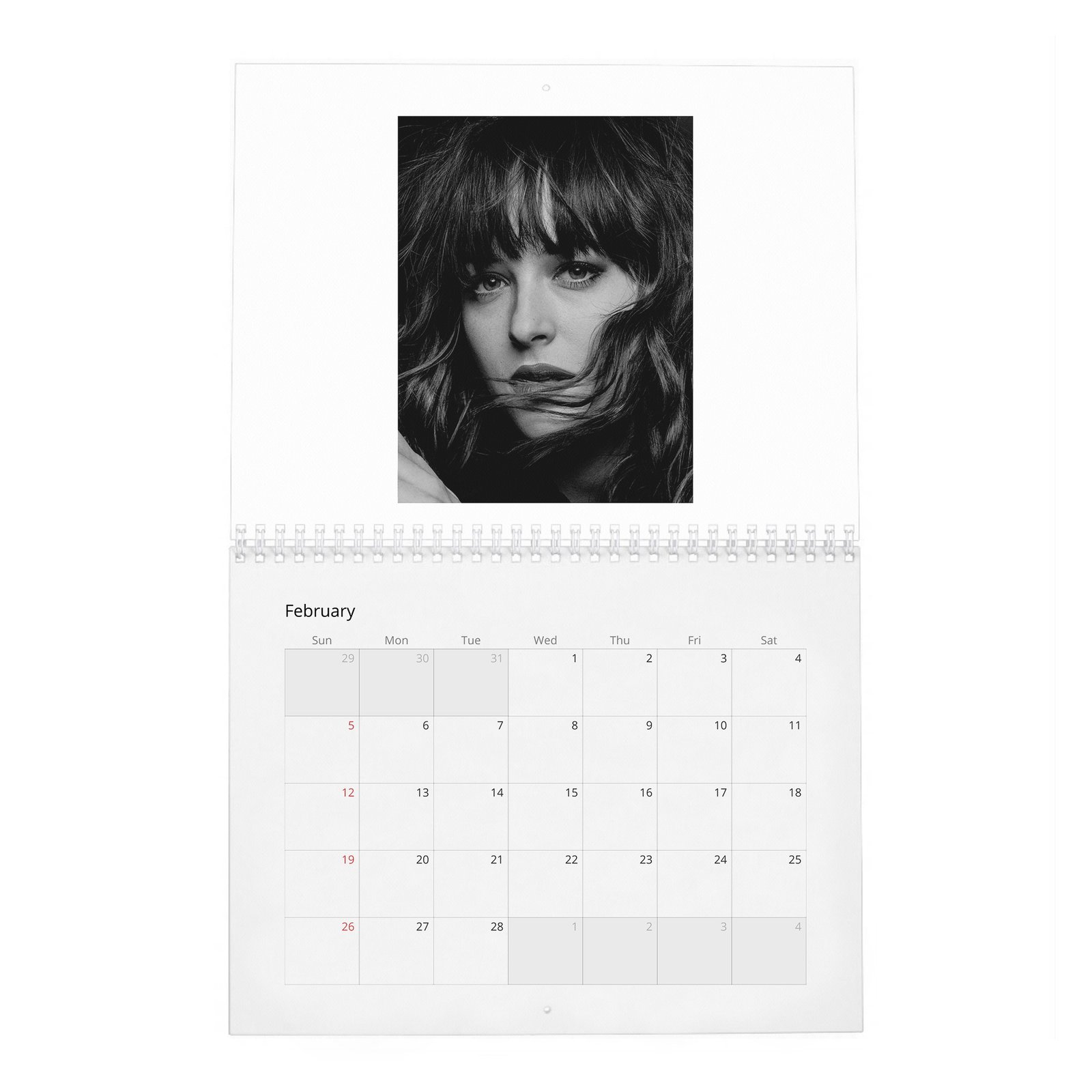 02 Dakota Johnson - Interview 2027 Wall Calendar