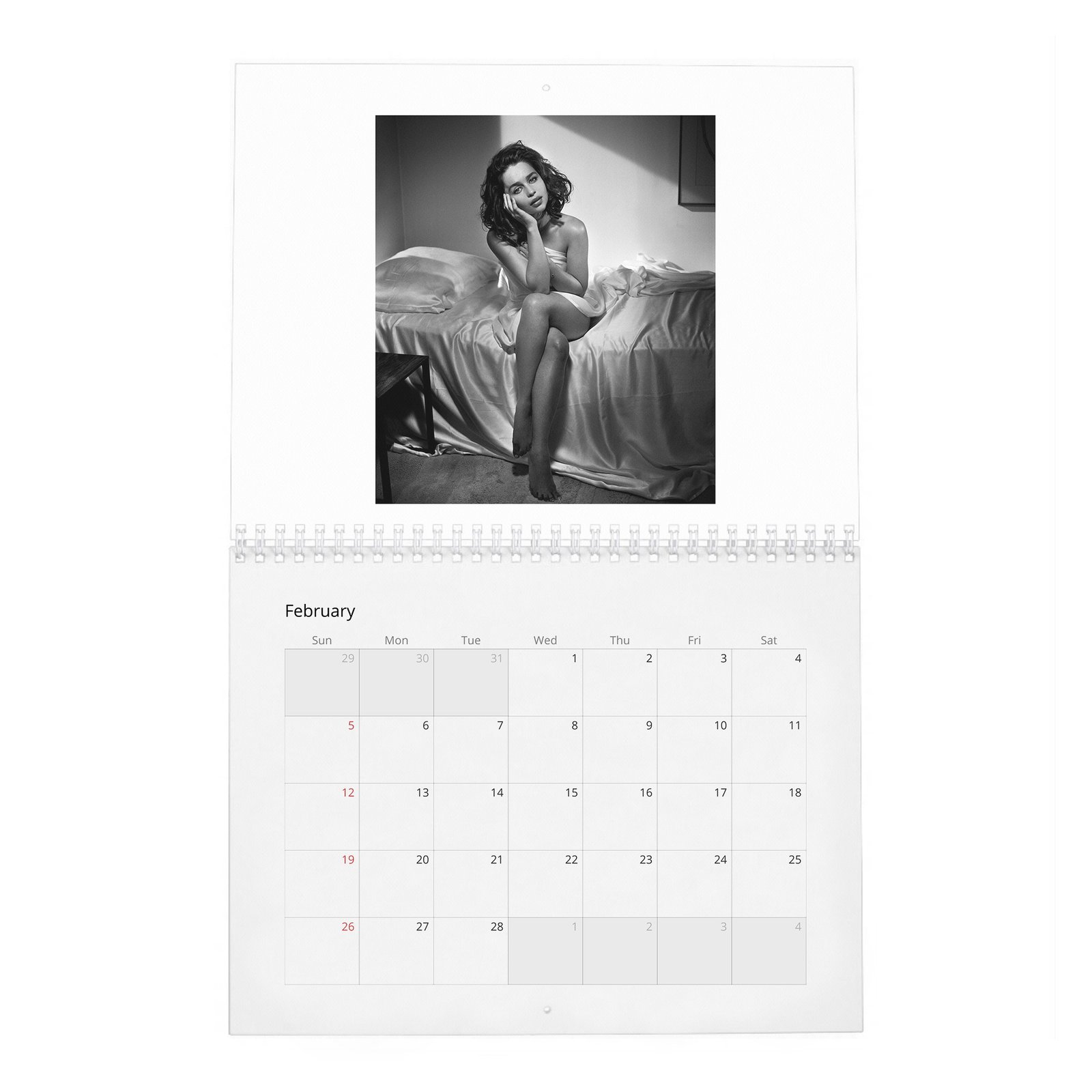 Emilia Clarke - Mother Of Dragons 2027 Wall Calendar