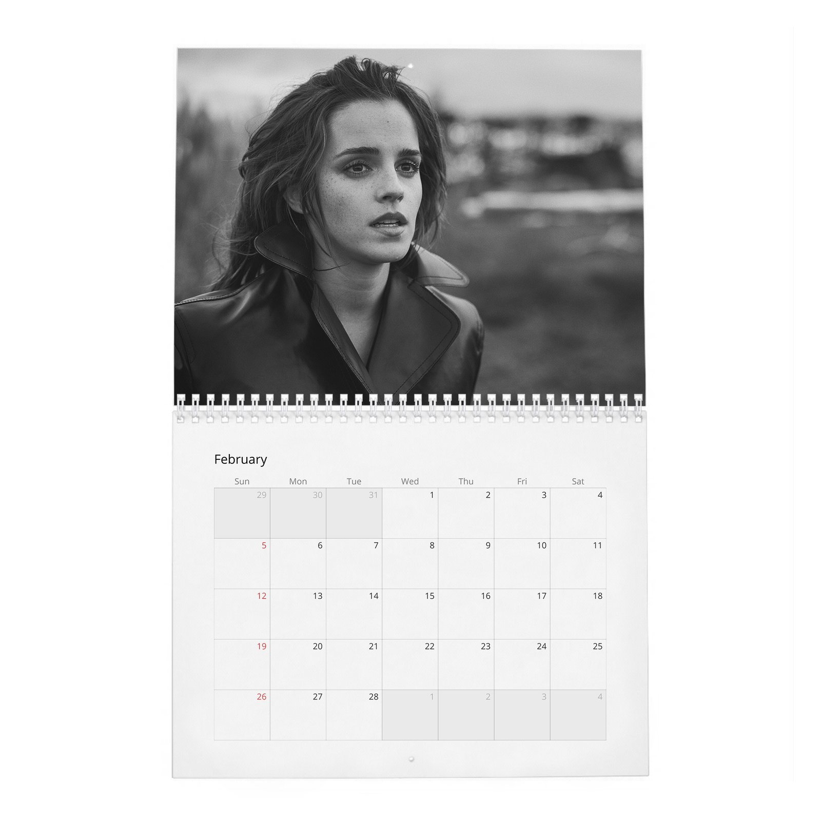 Emma Watson - Voice For Change 2027 Wall Calendar