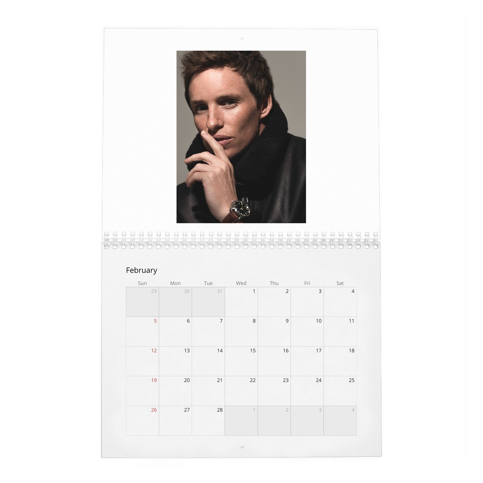 Eddie Redmayne - In Theory It Has Everything 2027 Wall Calendar