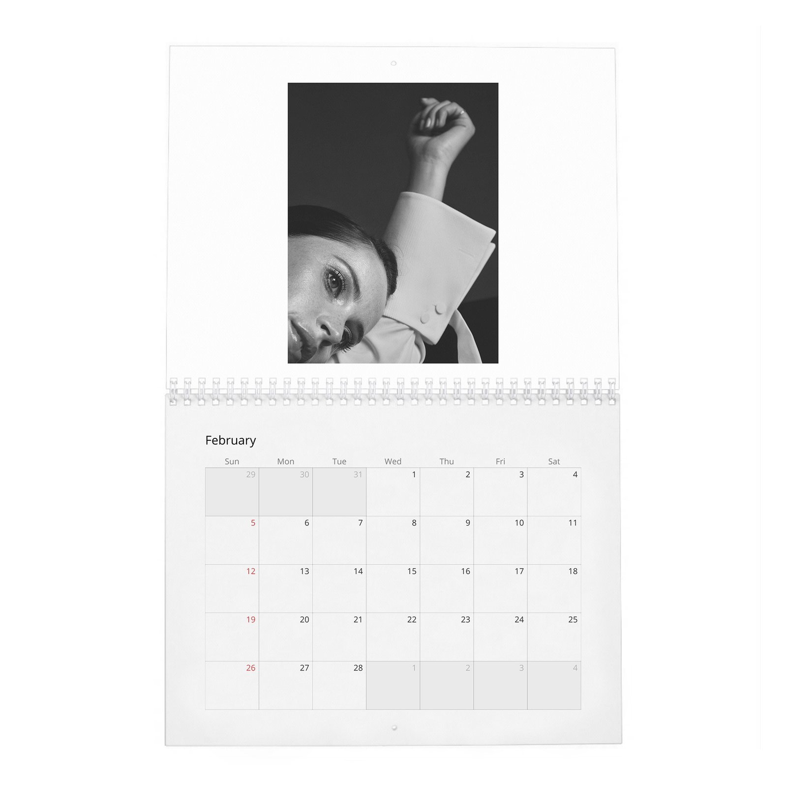 Felicity Jones - Rebel With A Cause 2027 Wall Calendar