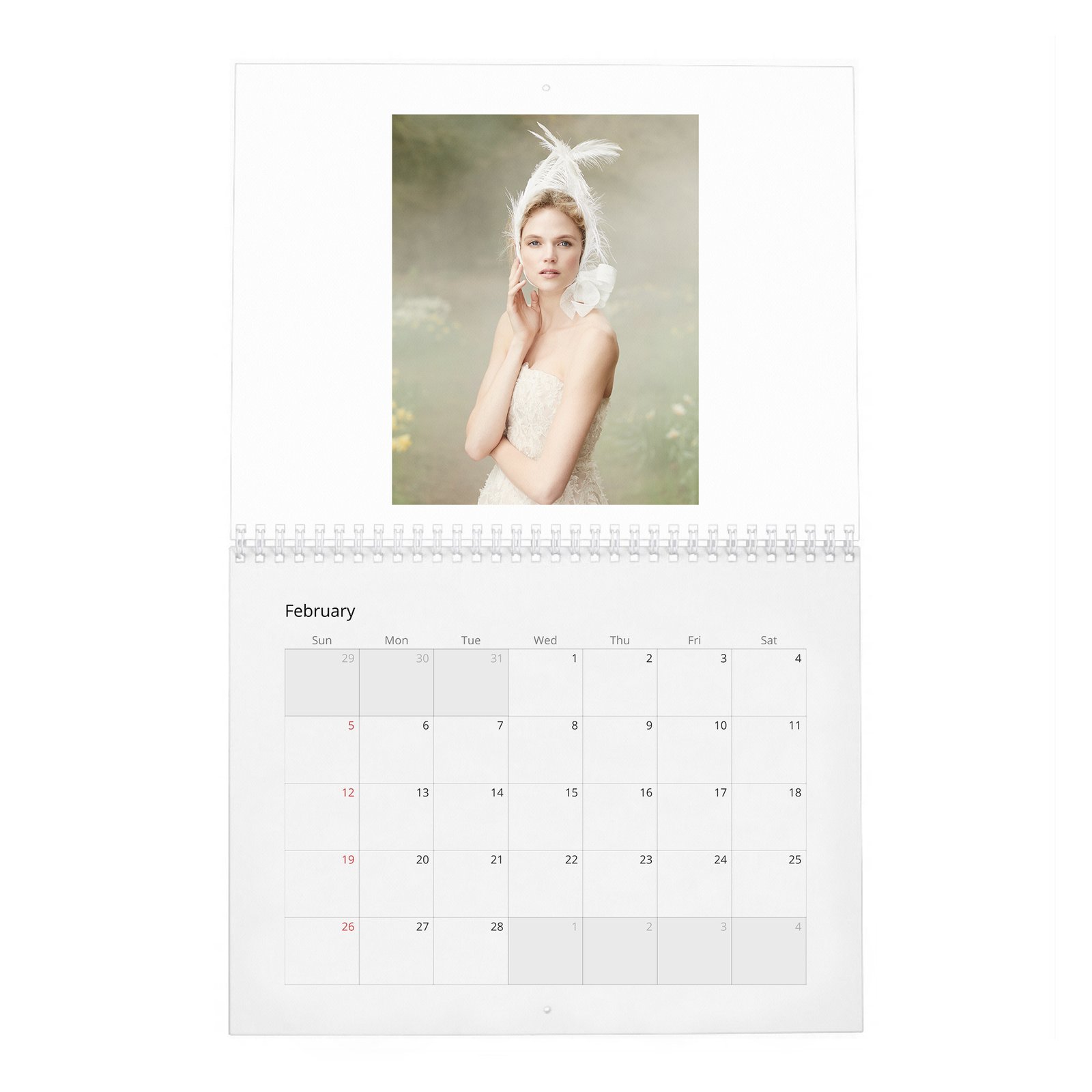 Gabriella Wilde - In Fine Feather 2027 Wall Calendar