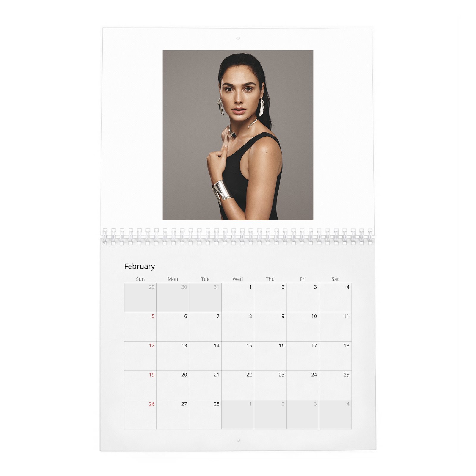 02 Gal Gadot - Real-Life Heroine 2027 Wall Calendar