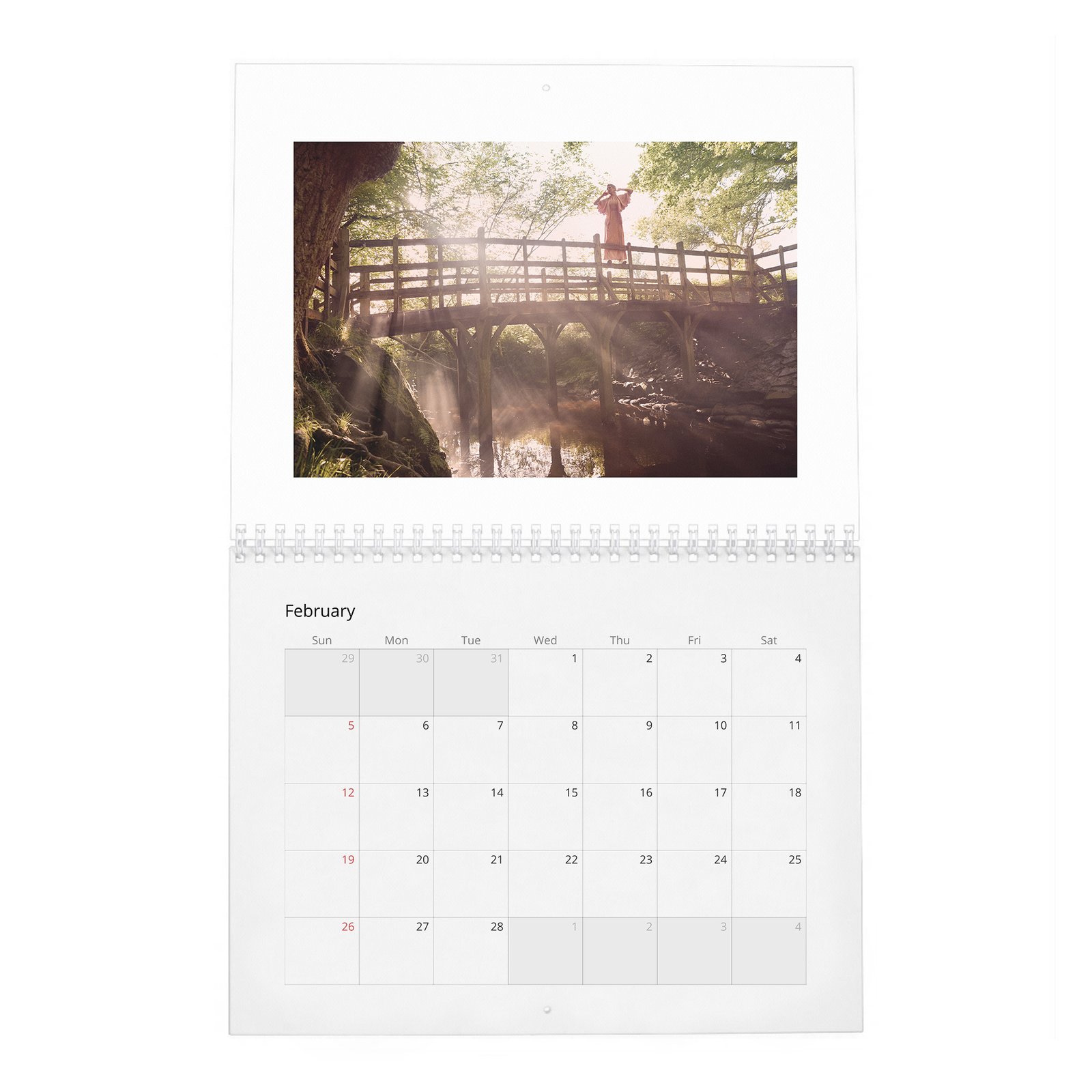 02 Hayley Atwell - Inside The Hundred Acre Wood 2027 Wall Calendar
