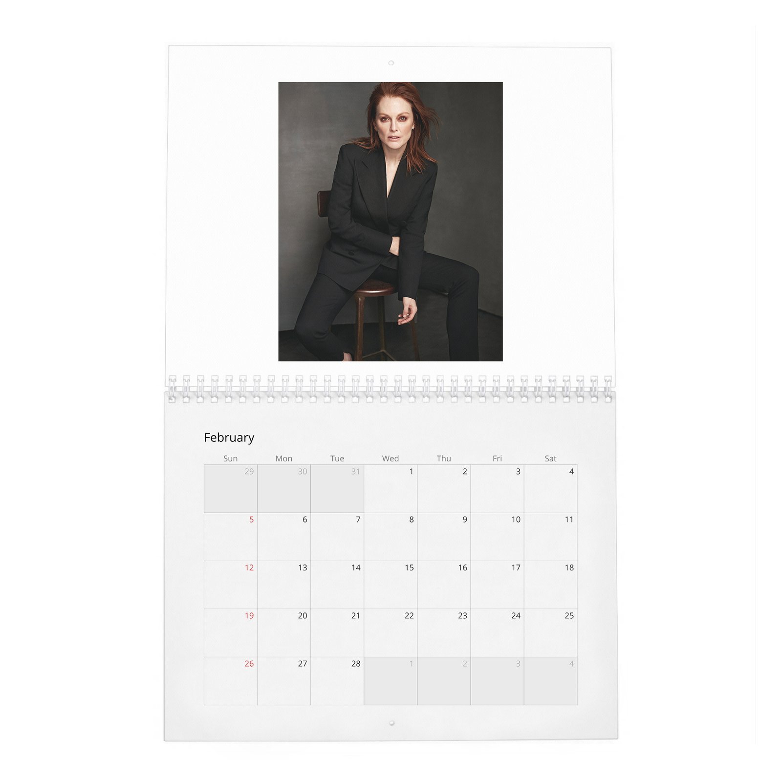 02 Julianne Moore - A Singular Woman 2027 Wall Calendar