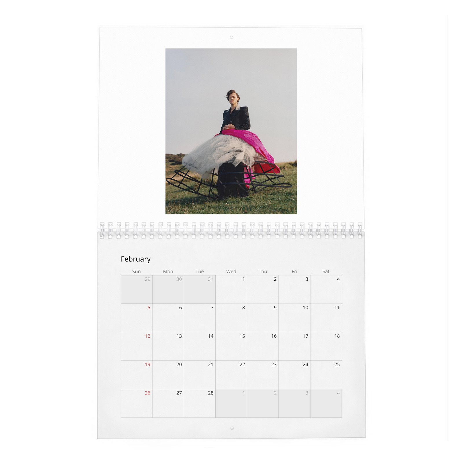 02 Harry Styles - Playtime 2027 Wall Calendar