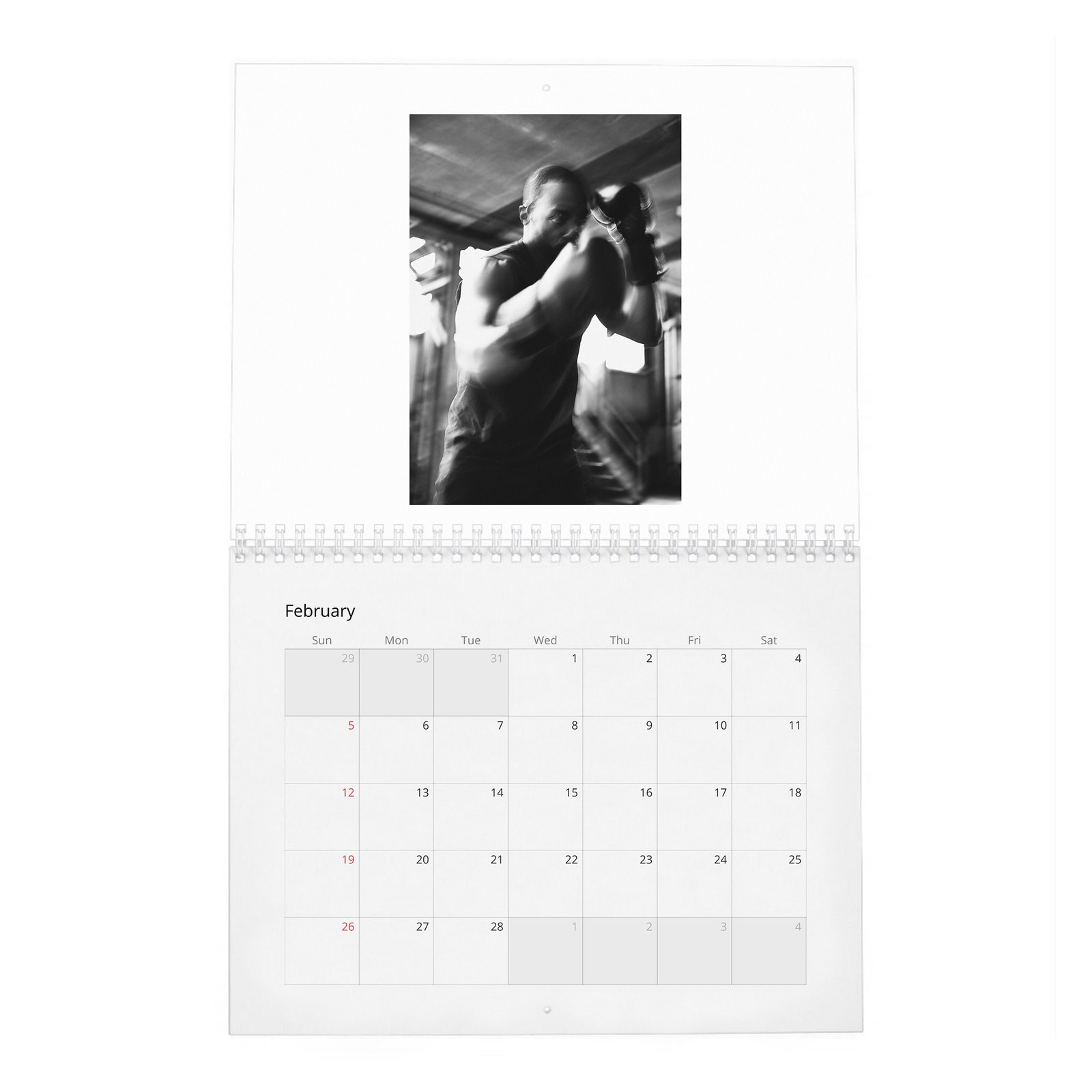 02 Anthony Mackie - Your New Captain 2027 Wall Calendar