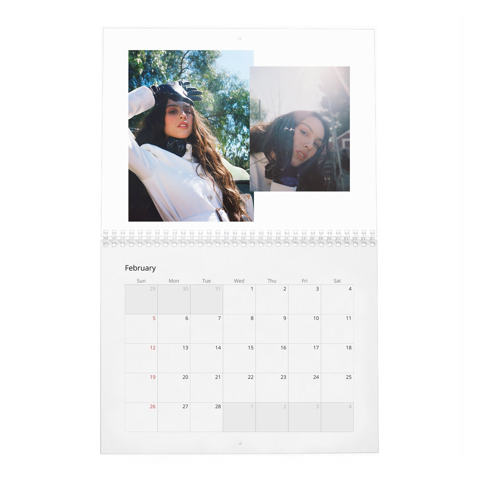 02 Olivia Rodrigo - Rising Star 2027 Wall Calendar