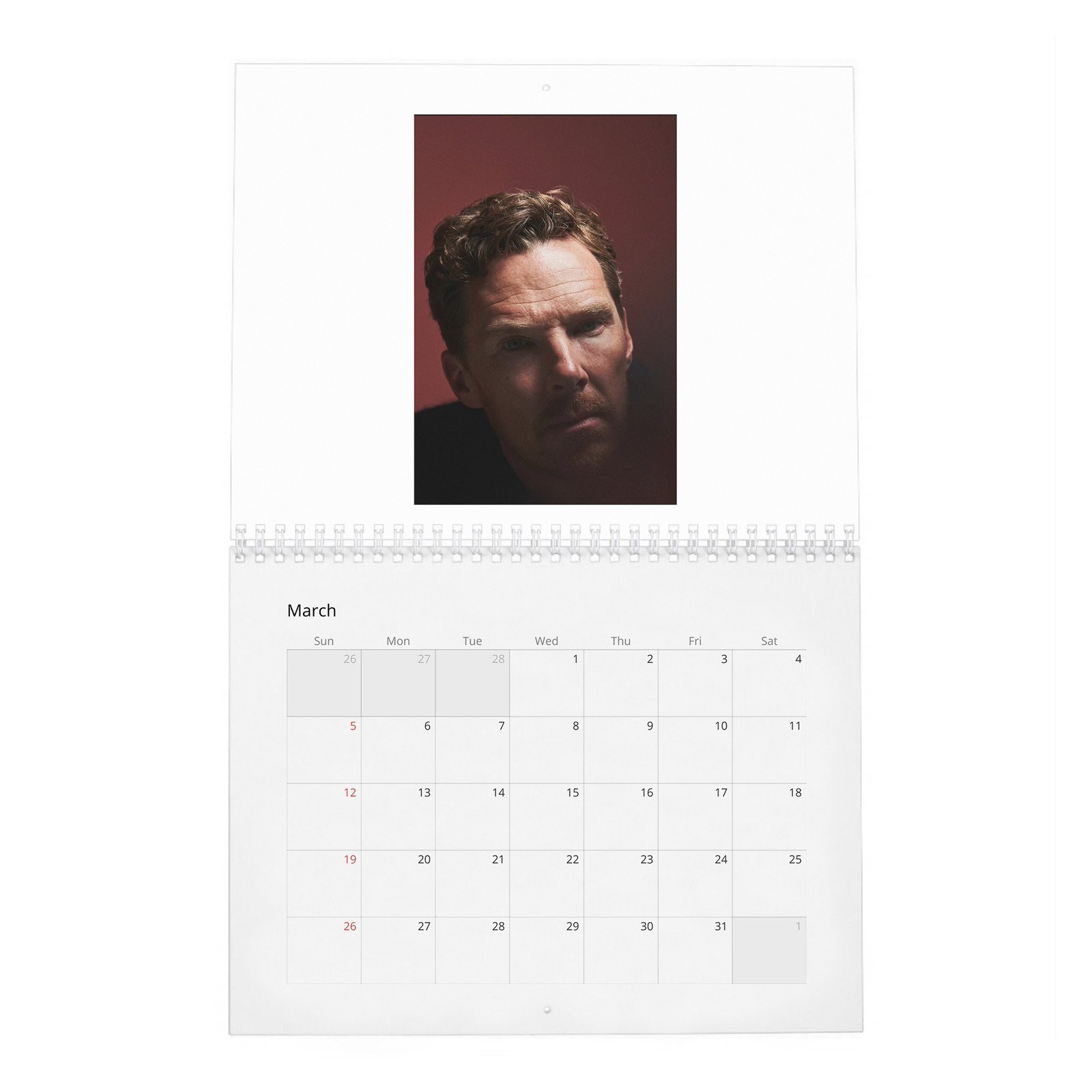 Benedict Cumberbatch - Man Of The Moment 2027 Wall Calendar