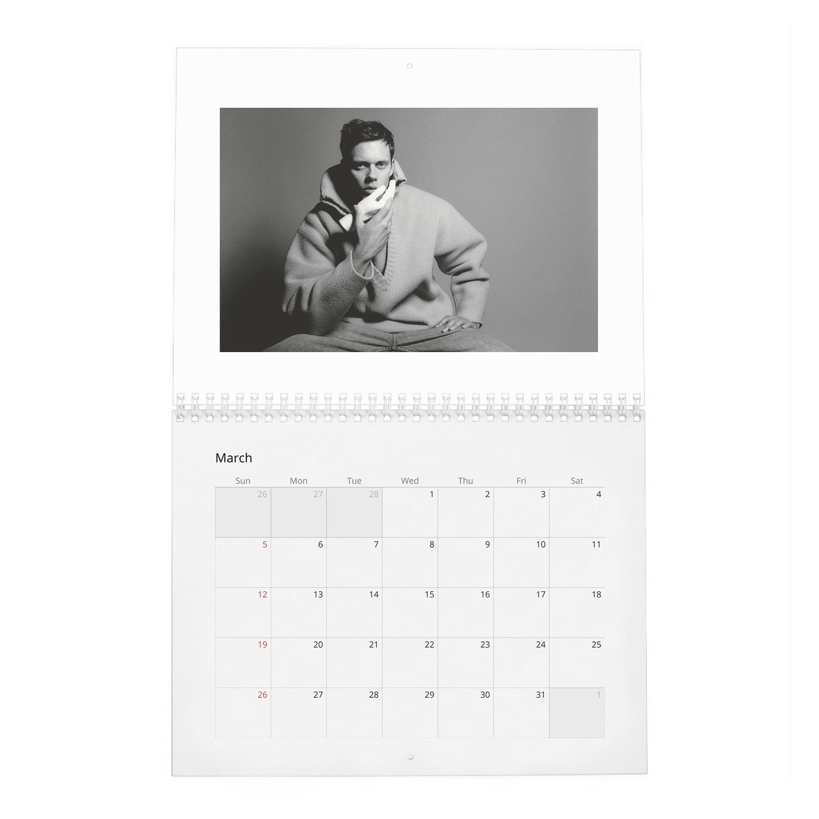 03 Bill Skarsgard - Another 2027 Wall Calendar