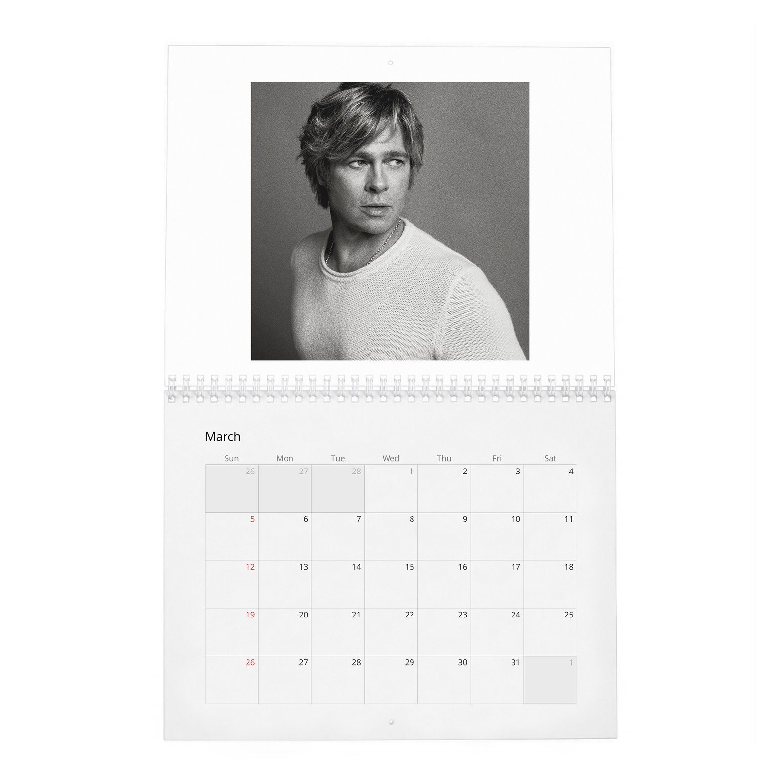 Brad Pitt - Born To Be Brad 2027 Wall Calendar