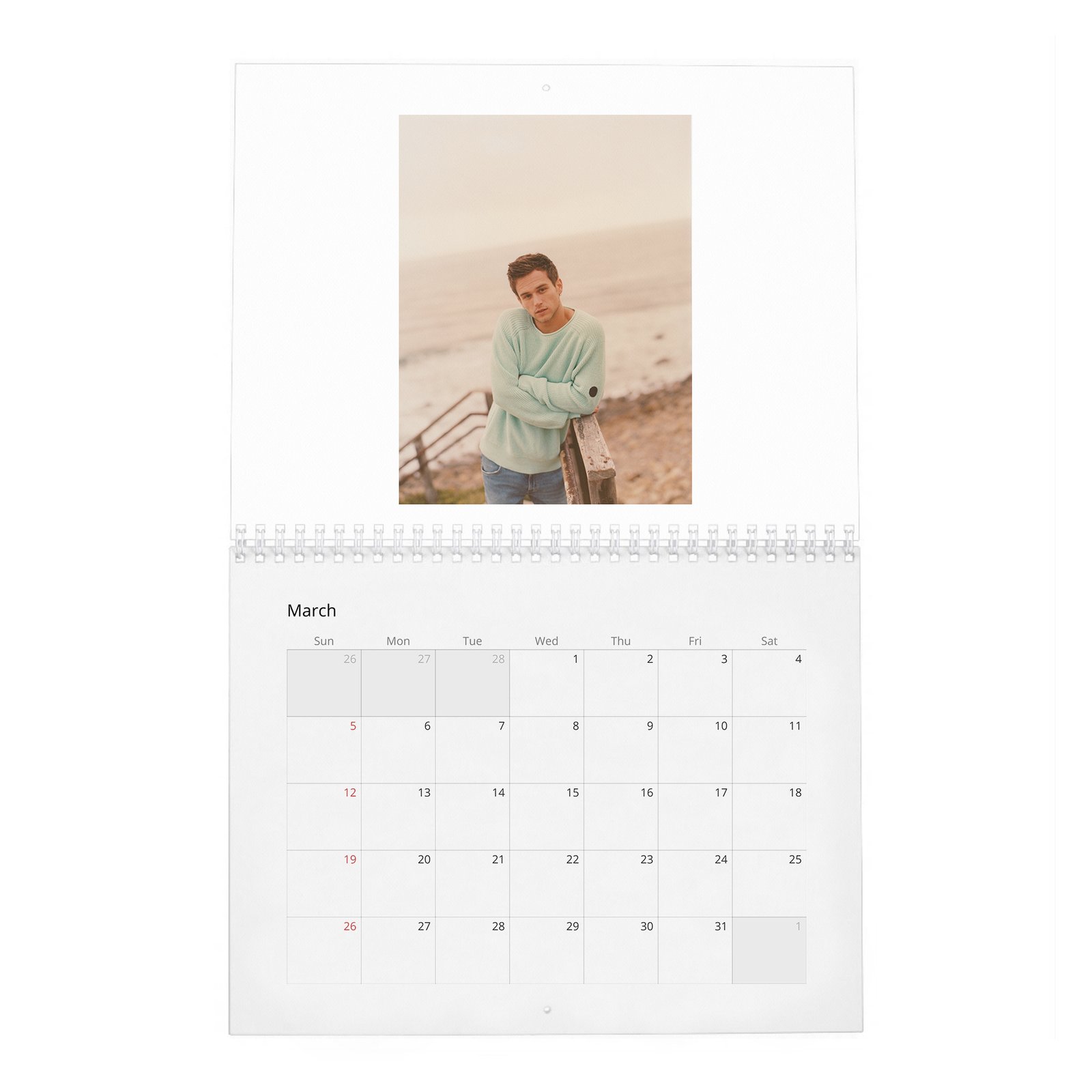 Brandon Flynn - California Dreamin' 2027 Wall Calendar