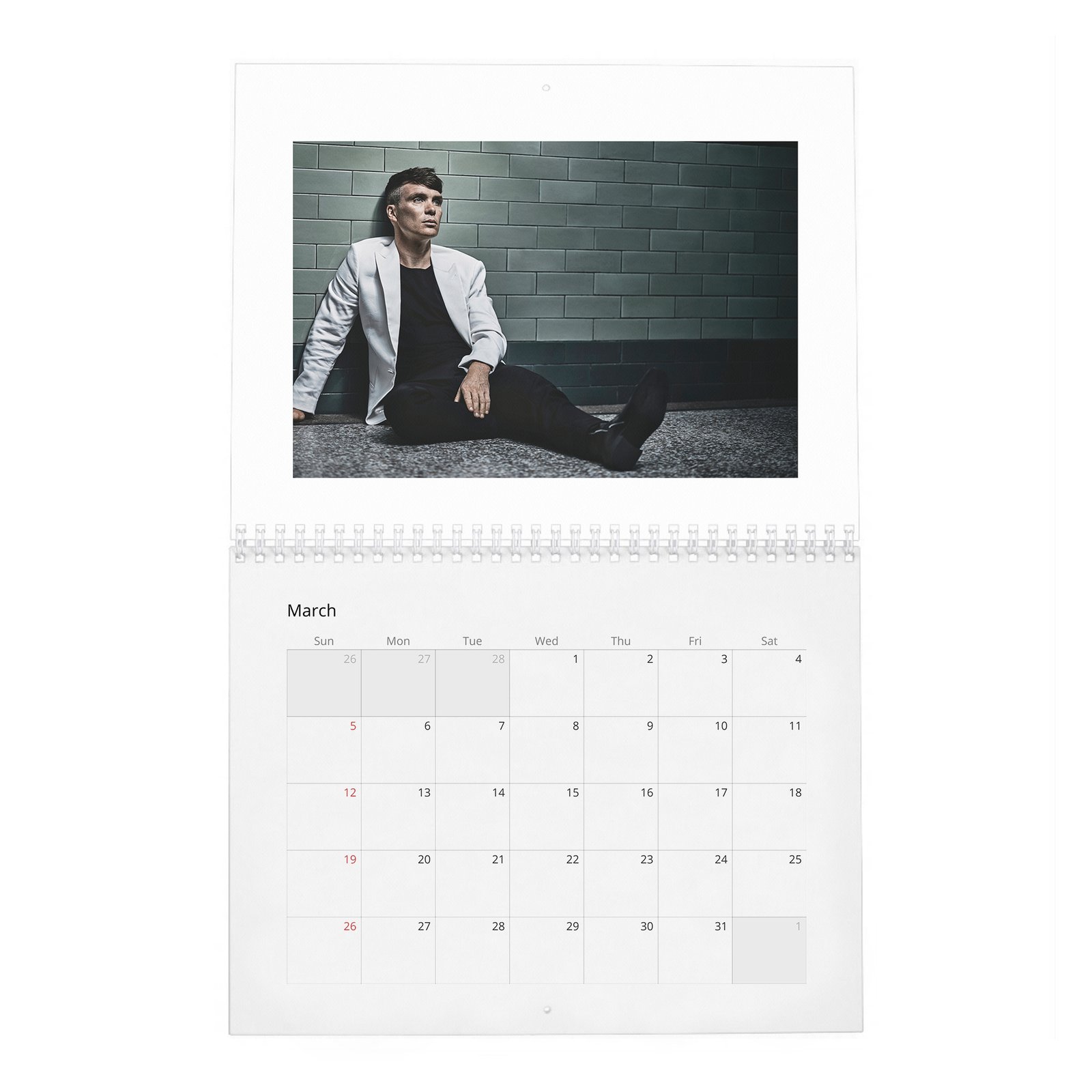 03 Cillian Murphy - Actor Of The Year 2027 Wall Calendar