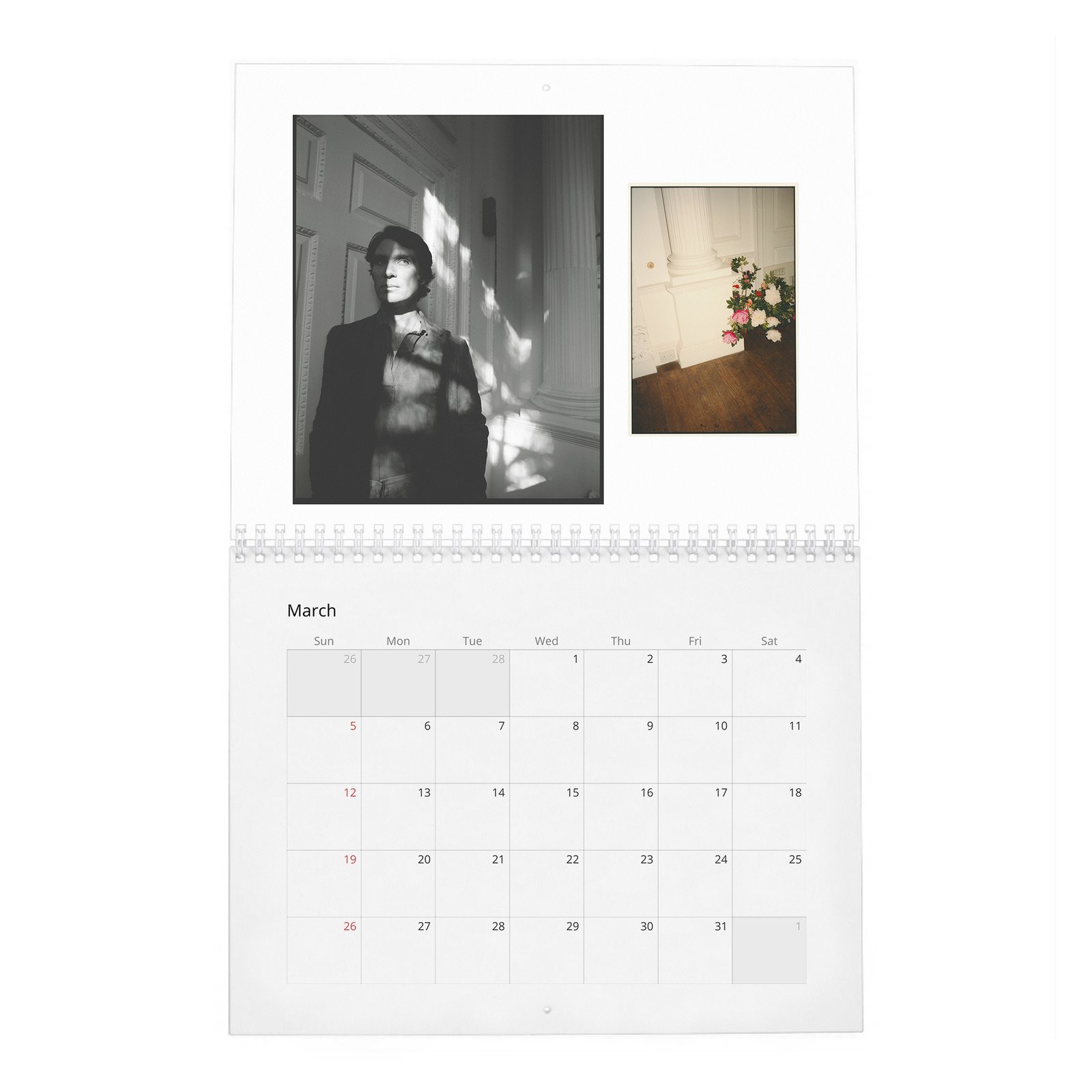 03 Cillian Murphy - Field Of His Own 2027 Wall Calendar
