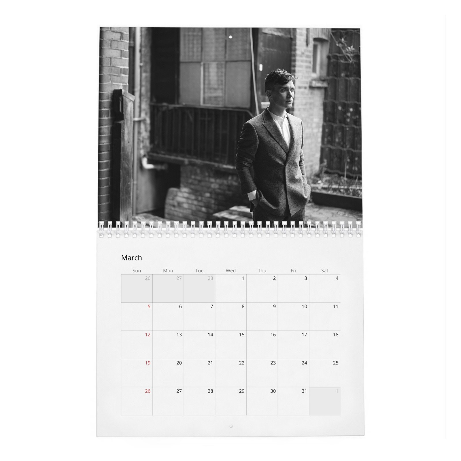 03 Cillian Murphy - So It Goes 2027 Wall Calendar