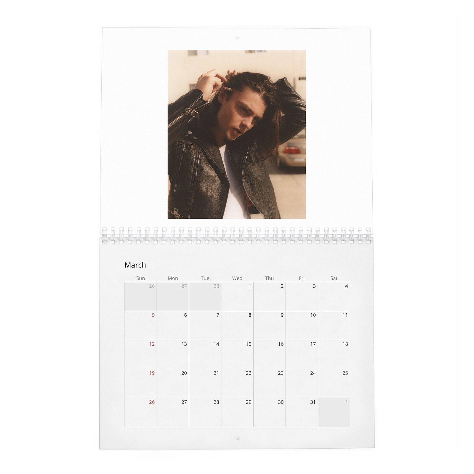 Felix Mallard - Flaunt 2027 Wall Calendar