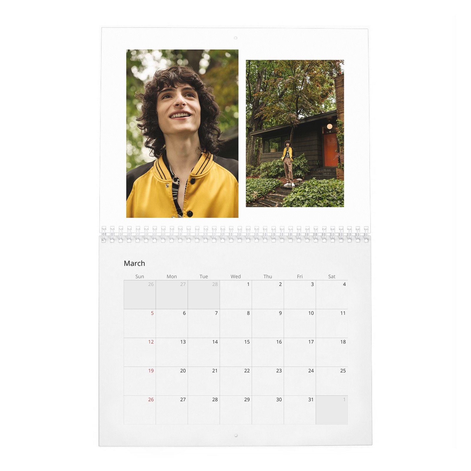 03 Finn Wolfhard - Stranger Teen 2027 Wall Calendar