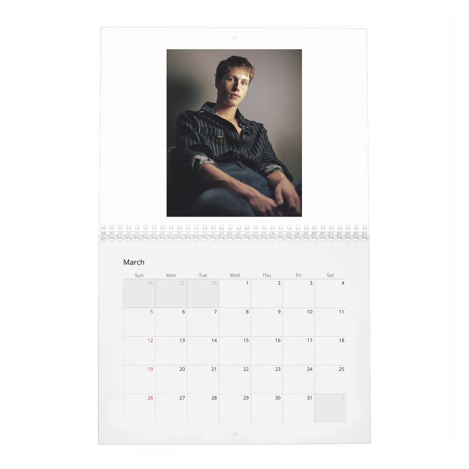 Harris Dickinson - Wonderland 2027 Wall Calendar