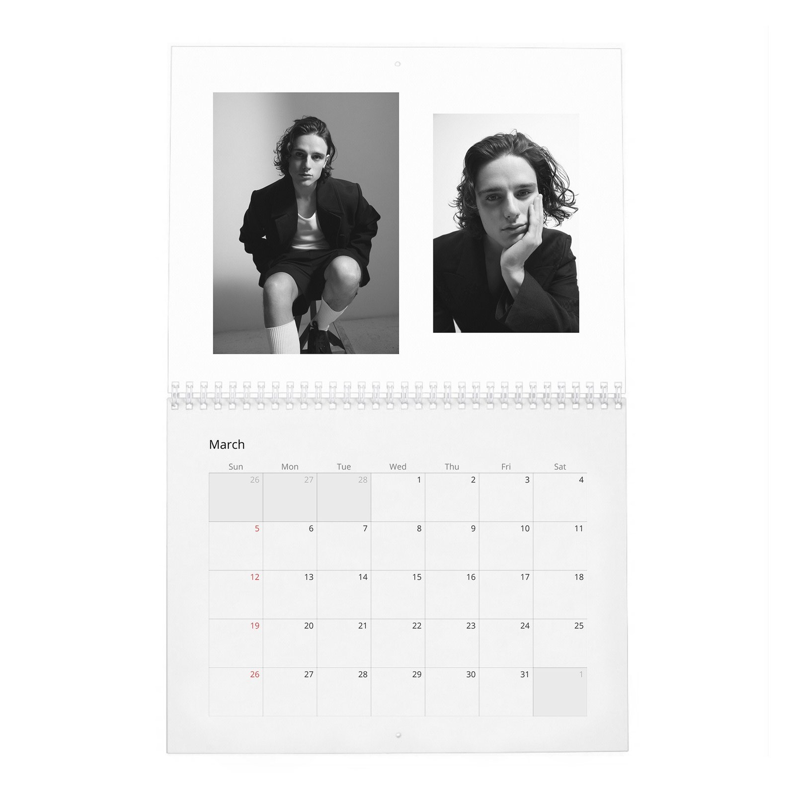 Harry Collett - Fire In The Belly 2027 Wall Calendar