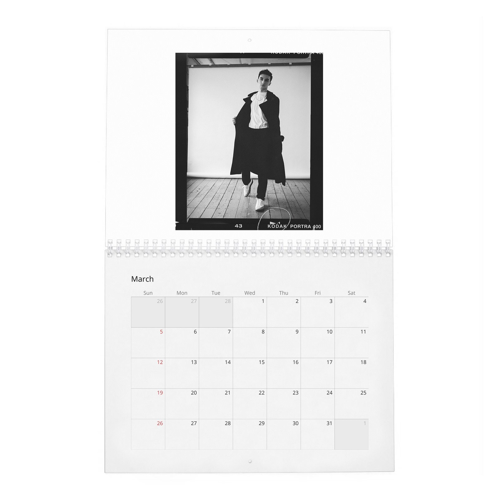 03 Isaac Hempstead Wright - Wonderland 2027 Wall Calendar
