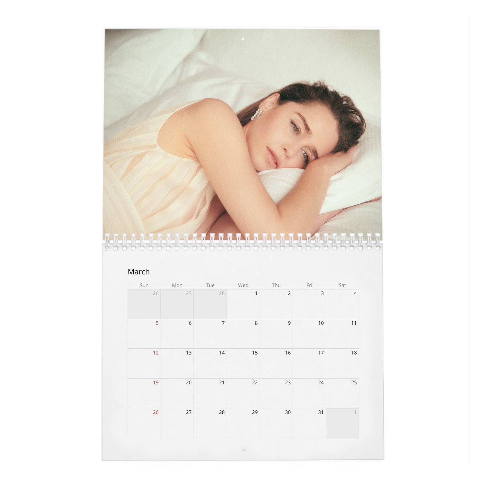 03 (2) Emilia Clarke - Power and Passion 2027 Wall Calendar